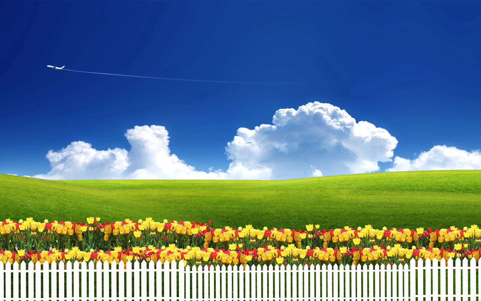 tulips, clouds, miscellanea, miscellaneous, fence, plane, airplane, serenity