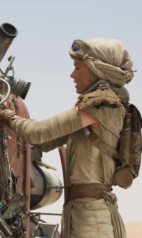 Baixar papel de parede para celular de Filme, Guerra Nas Estrelas, Guerra Das Estrelas, Star Wars: Episódio Vii O Despertar Da Força, Daisy Ridley, Rei (Guerra Nas Estrelas) gratuito.