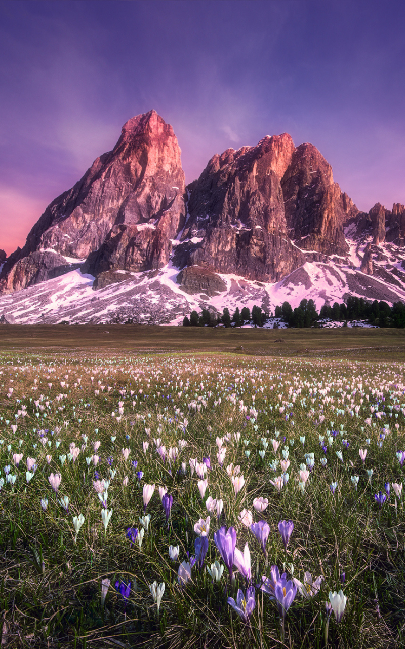 Download mobile wallpaper Landscape, Nature, Grass, Mountain, Flower, Earth, Cliff for free.