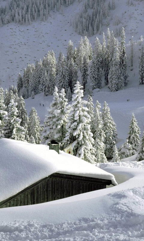 Descarga gratuita de fondo de pantalla para móvil de Invierno, Nieve, Árbol, Tierra, Tierra/naturaleza.