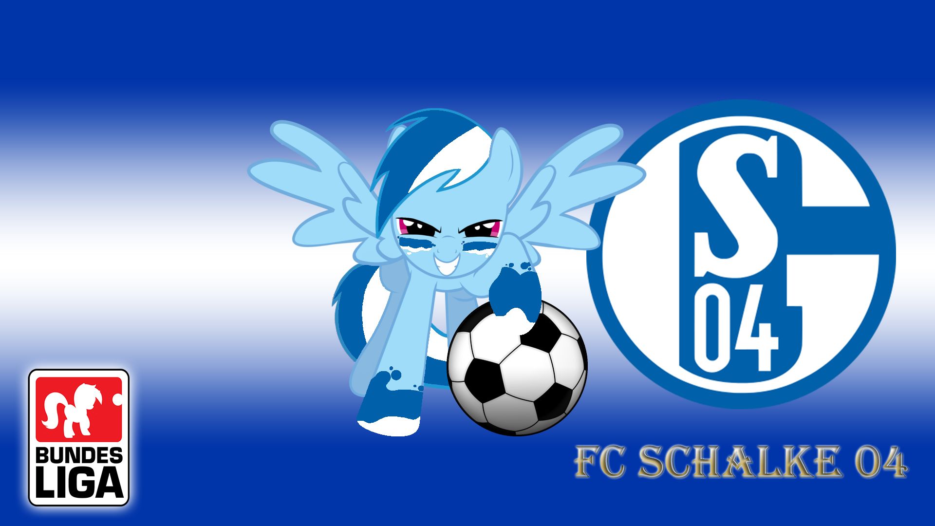 Handy-Wallpaper Sport, Fußball, Logo, Rainbow Dash, Fc Schalke 04 kostenlos herunterladen.