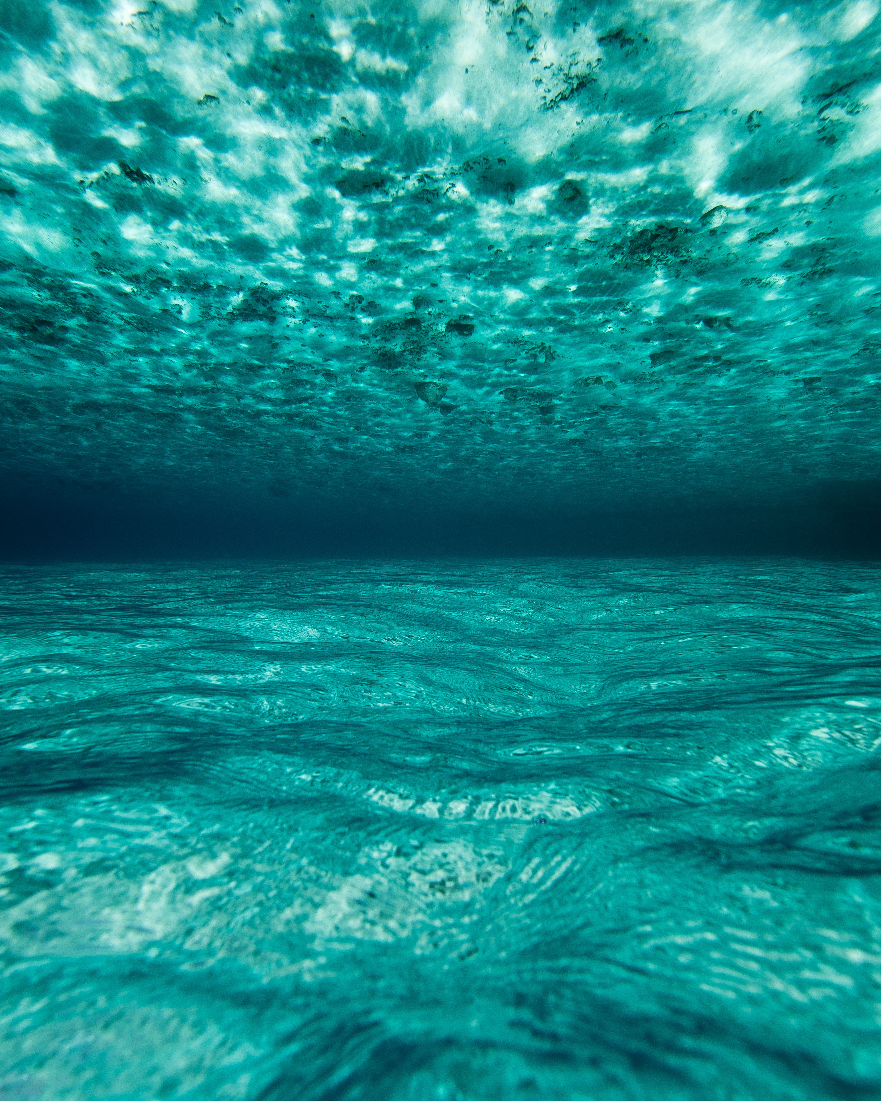 underwater, maldives, nature, submarine, water, ocean