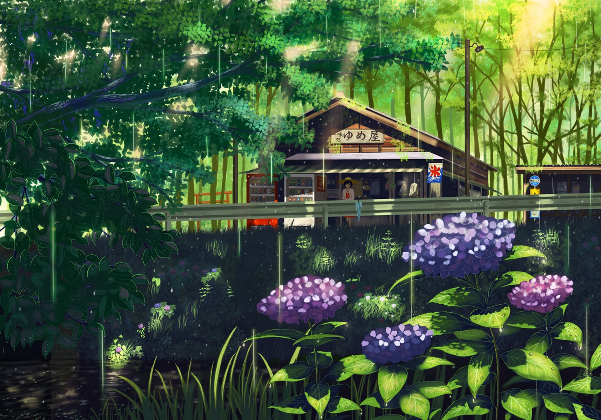 Download mobile wallpaper Anime, Grass, Flower, Shop, Sunbeam for free.