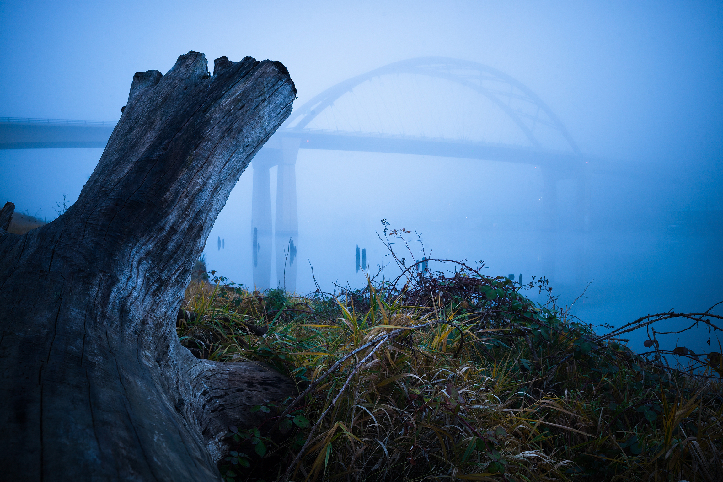 Download mobile wallpaper Bridges, Grass, Fog, Bridge, Man Made for free.