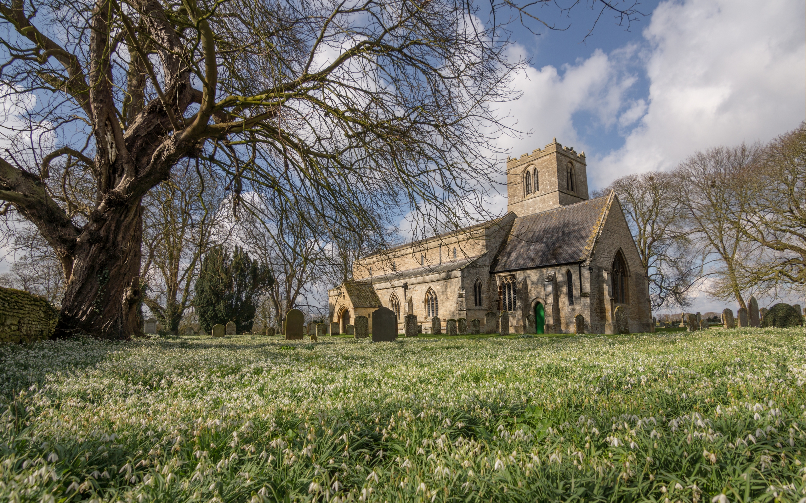 Download mobile wallpaper Snowdrop, Churches, Church, Religious, Flower for free.