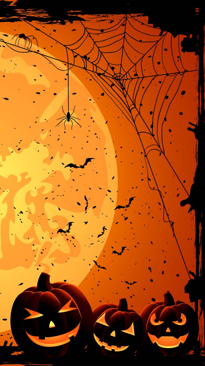 Download mobile wallpaper Halloween, Holiday, Spider, Orange (Color), Jack O' Lantern, Spider Web for free.