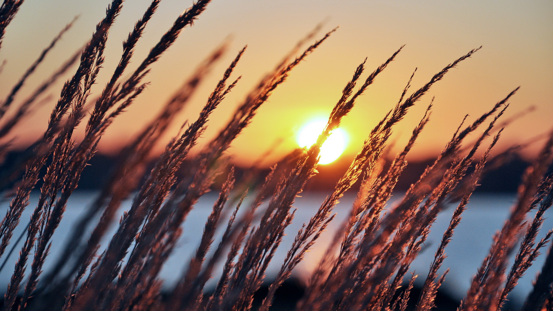 Téléchargez gratuitement l'image Terre/nature, Coucher De Soleil sur le bureau de votre PC