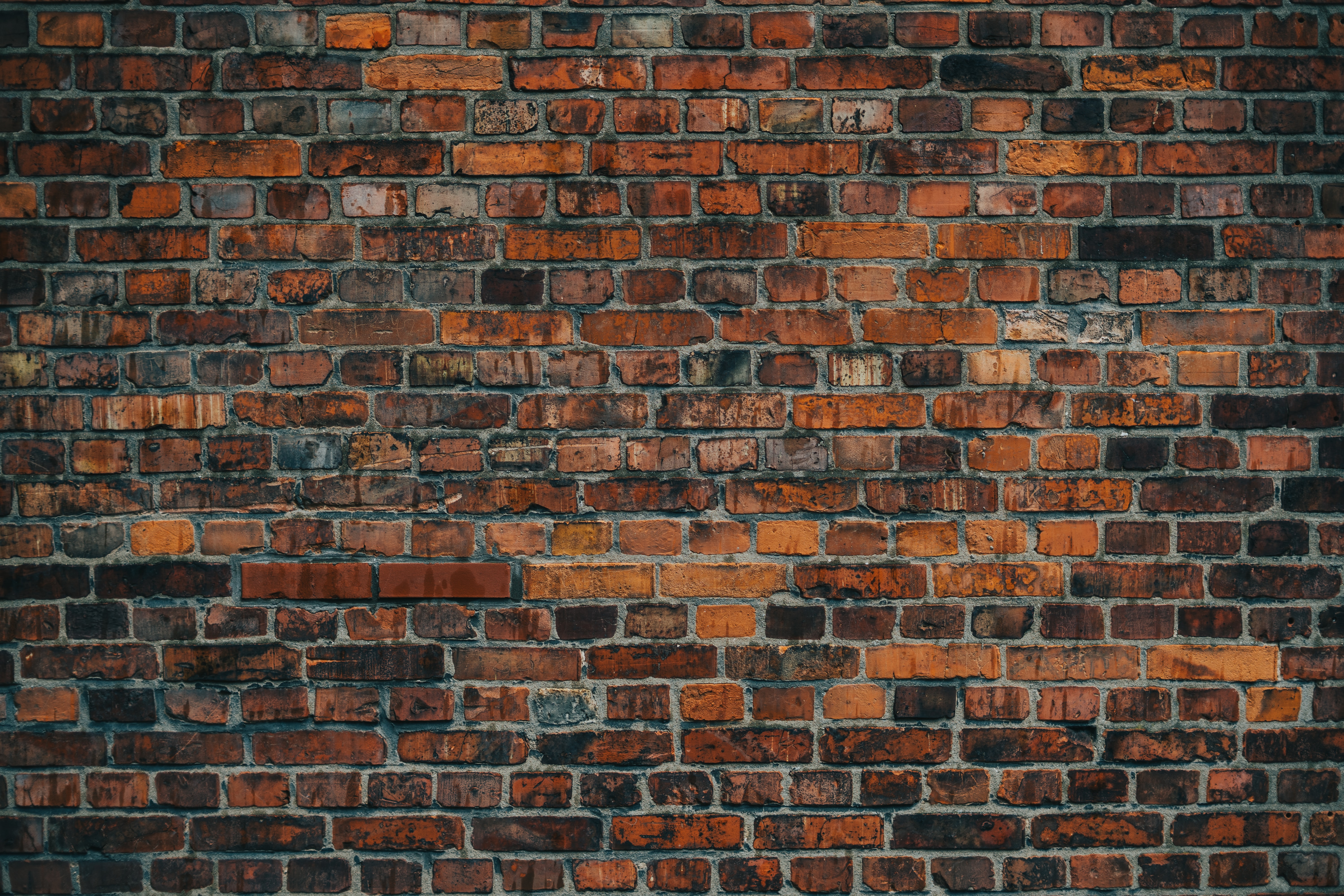 wall, brick wall, texture, bricks, red, textures