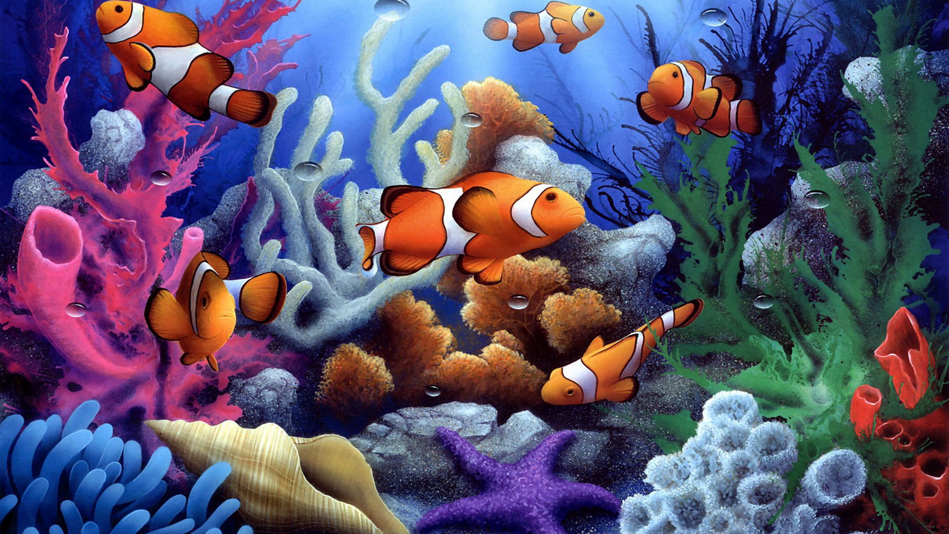 269780 скачать картинку рыбы, рыба клоун, животные, рыба, красочный, кораллы, ракушки - обои и заставки бесплатно