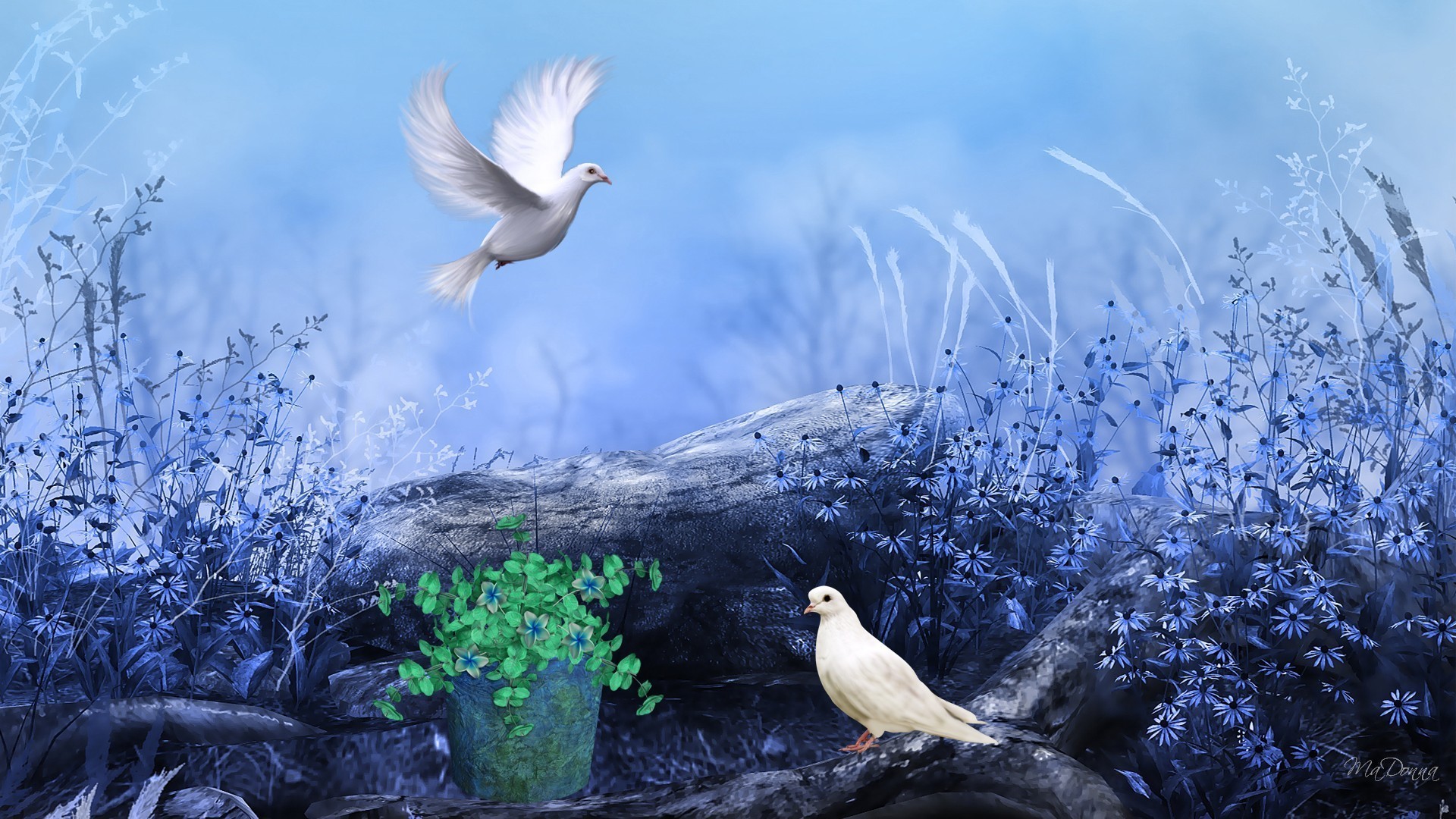 Download mobile wallpaper Birds, Bird, Animal for free.