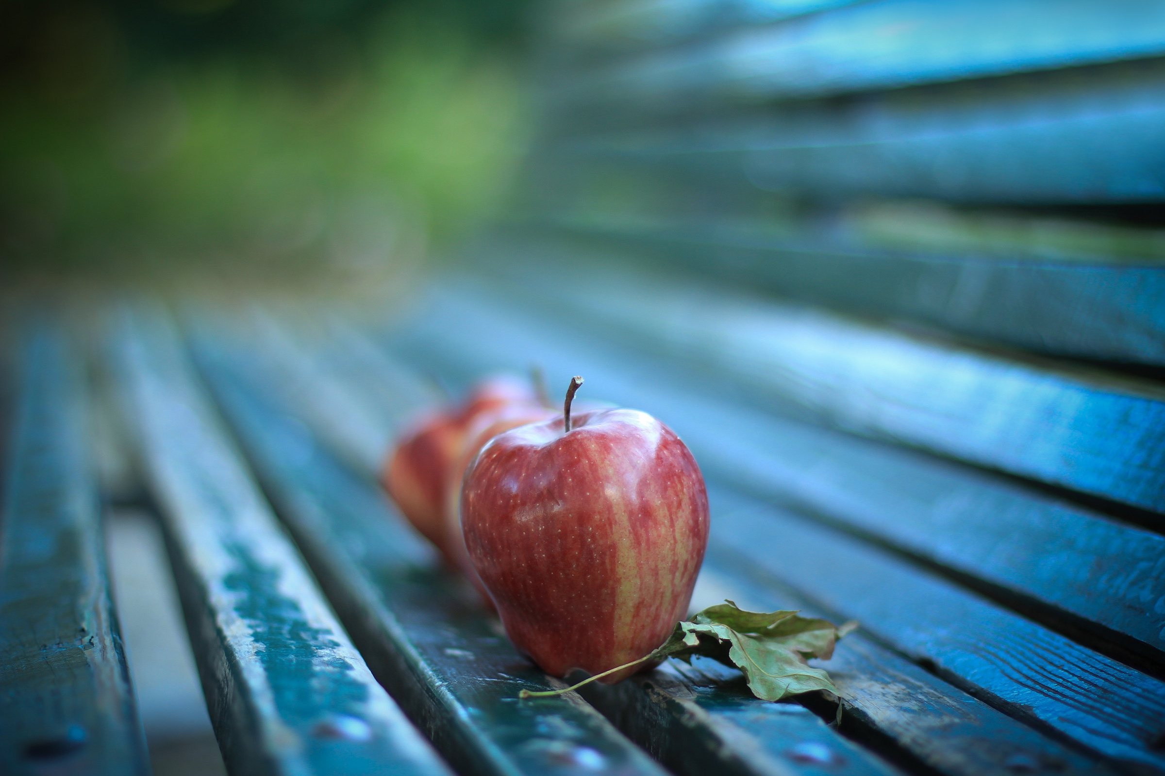food, apple, bench, ripe