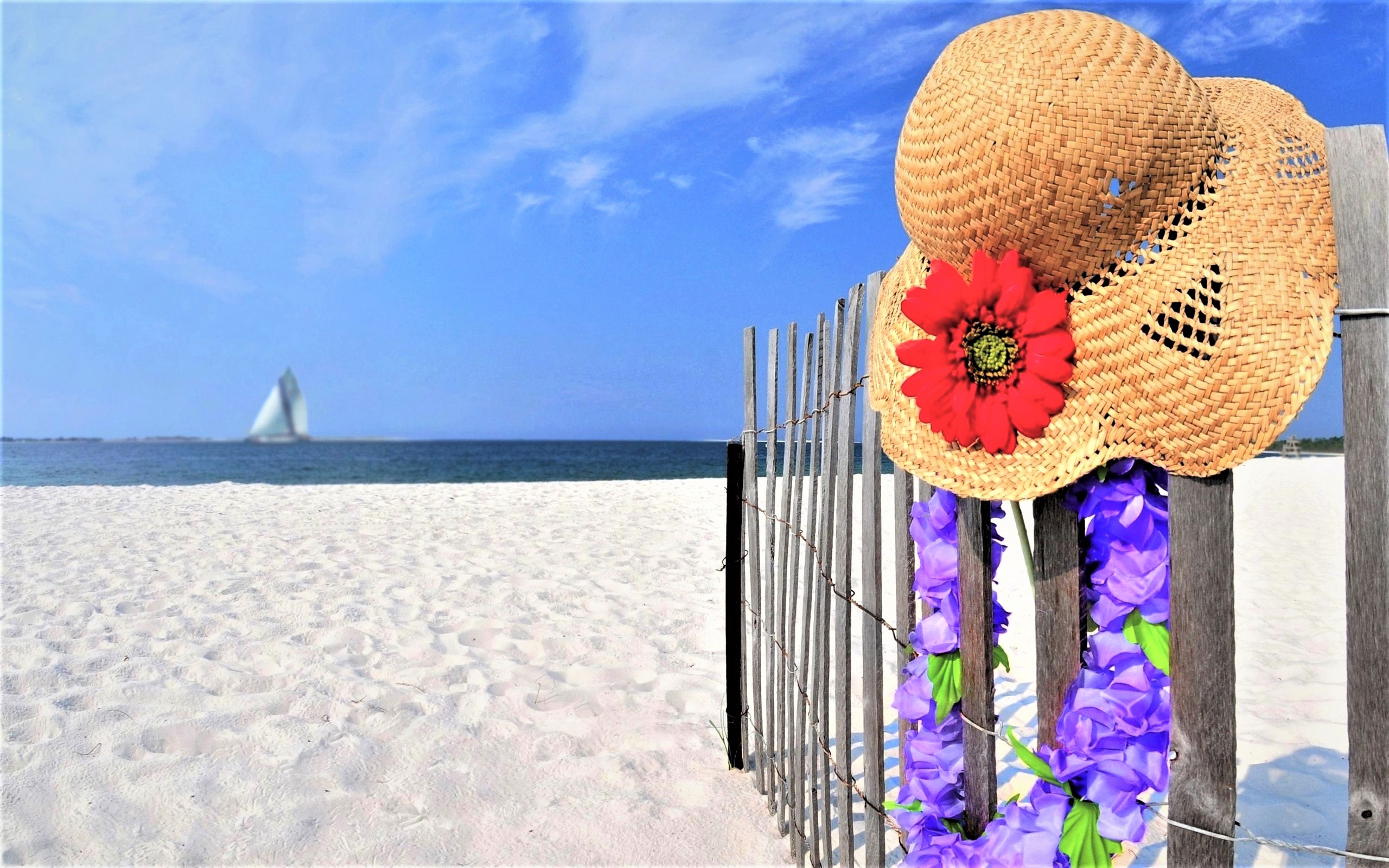 Baixe gratuitamente a imagem Mar, Praia, Verão, Flor, Oceano, Fotografia, Artistico, Chapéu De Palha na área de trabalho do seu PC