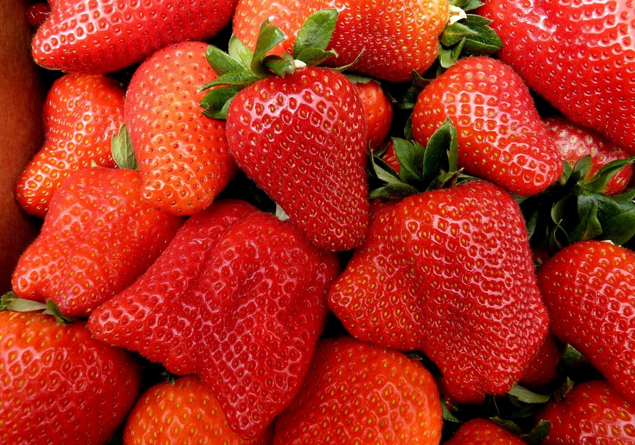 Handy-Wallpaper Erdbeere, Nahrungsmittel kostenlos herunterladen.