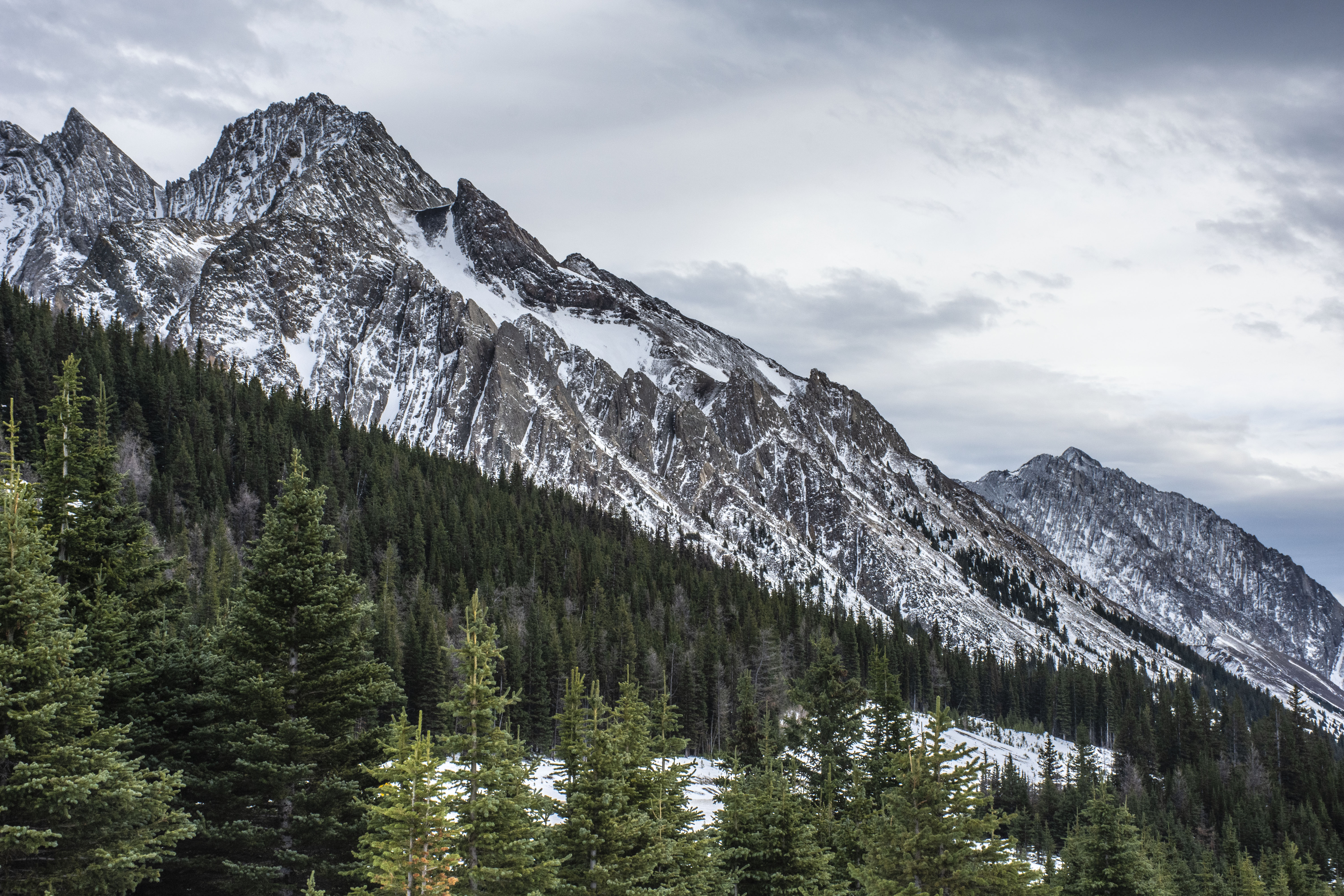Скачать обои бесплатно Гора, Вершина, Снег, Лес, Природа, Пейзаж картинка на рабочий стол ПК