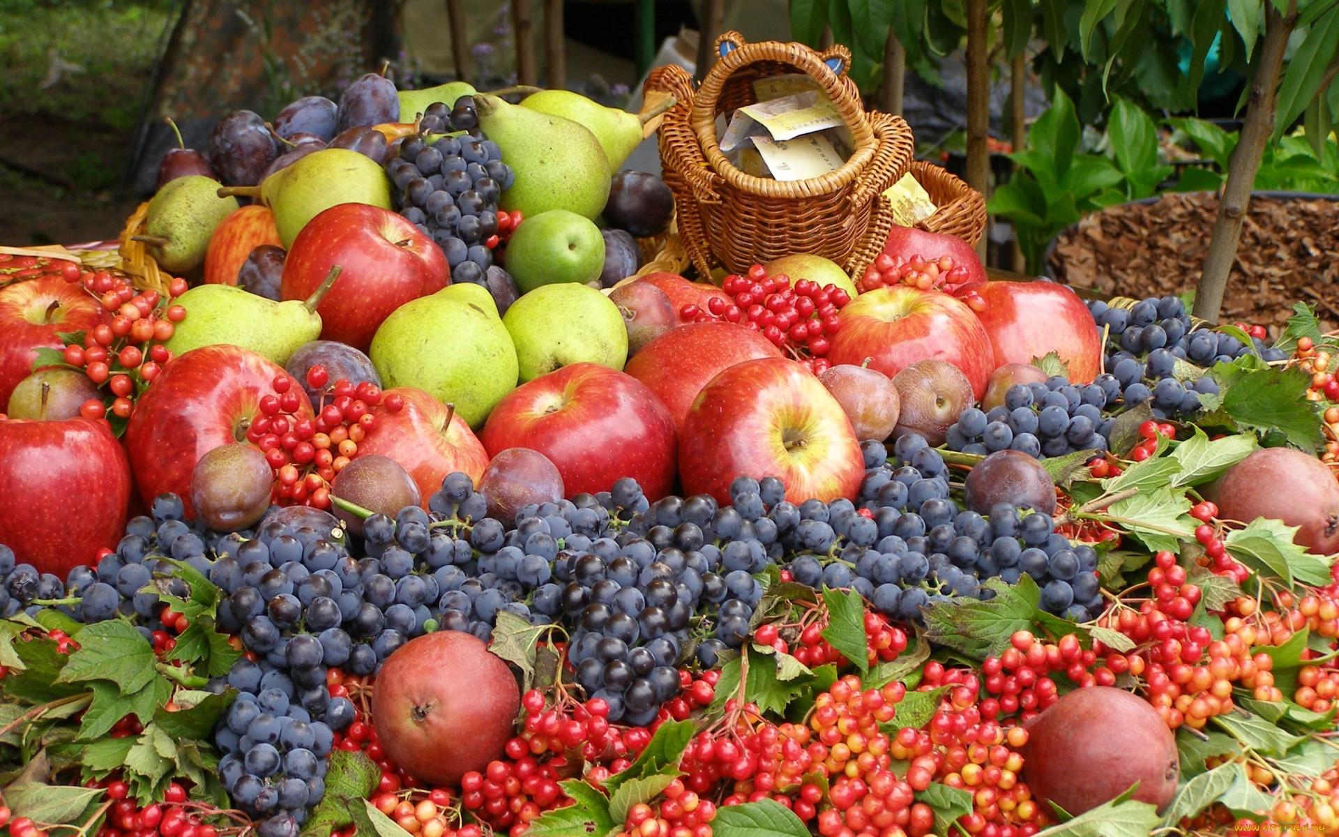 276488 descargar imagen alimento, fruta, manzana, uva, frutas: fondos de pantalla y protectores de pantalla gratis
