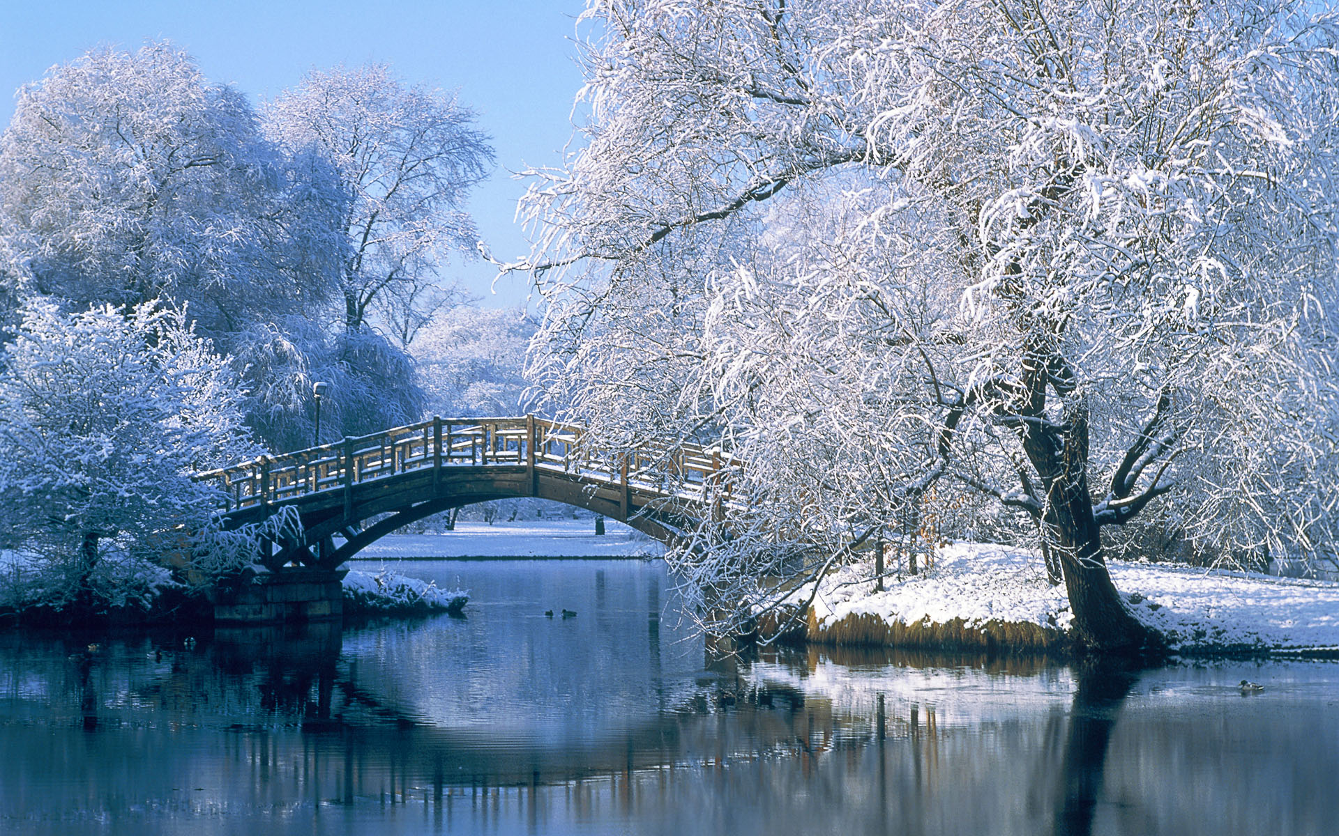 158378壁紙のダウンロード風景, 写真撮影, 木, 冬, 雪, 橋, 池, 反射, 水-スクリーンセーバーと写真を無料で