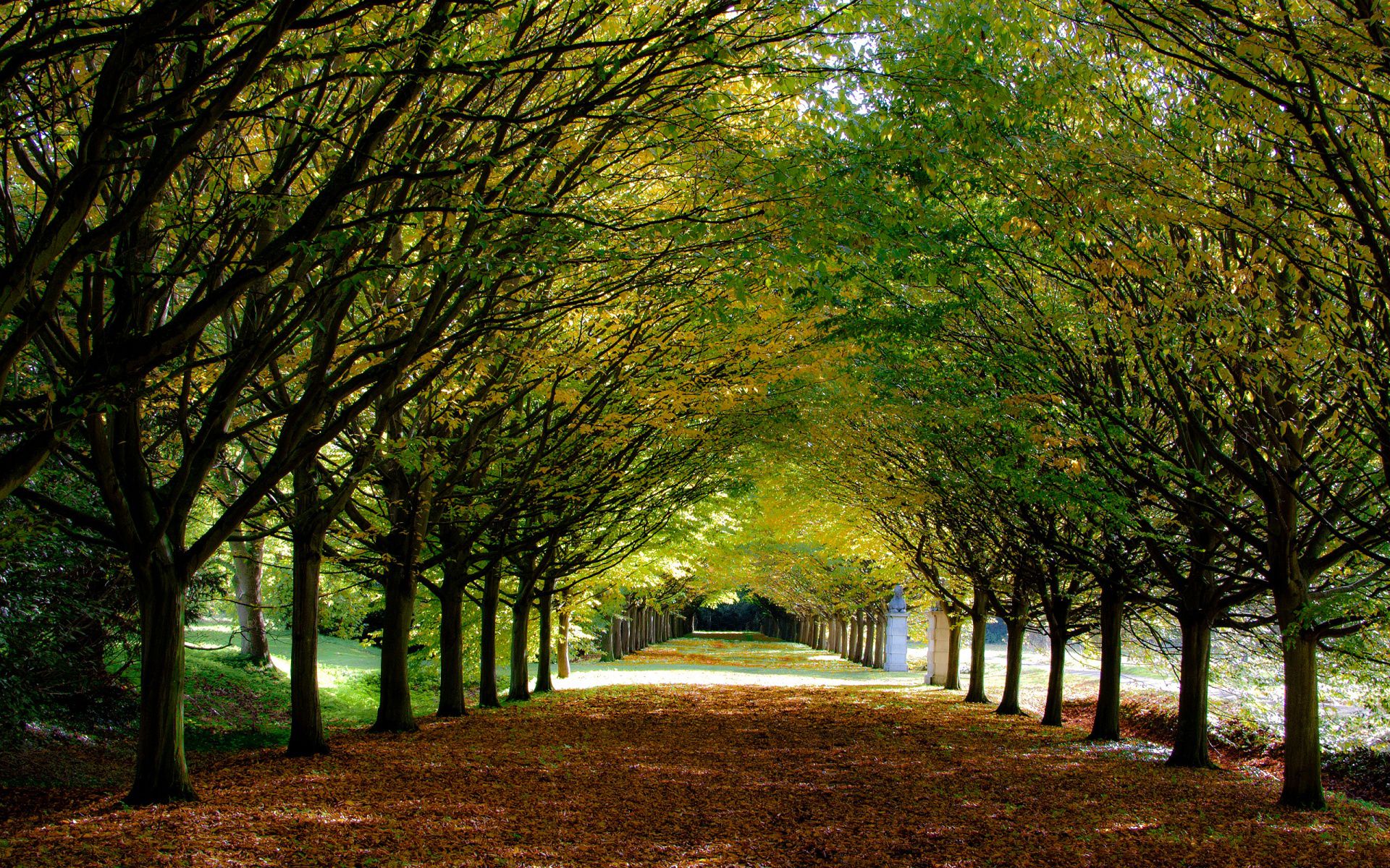 Téléchargez gratuitement l'image Parc, Arbre, Photographie sur le bureau de votre PC