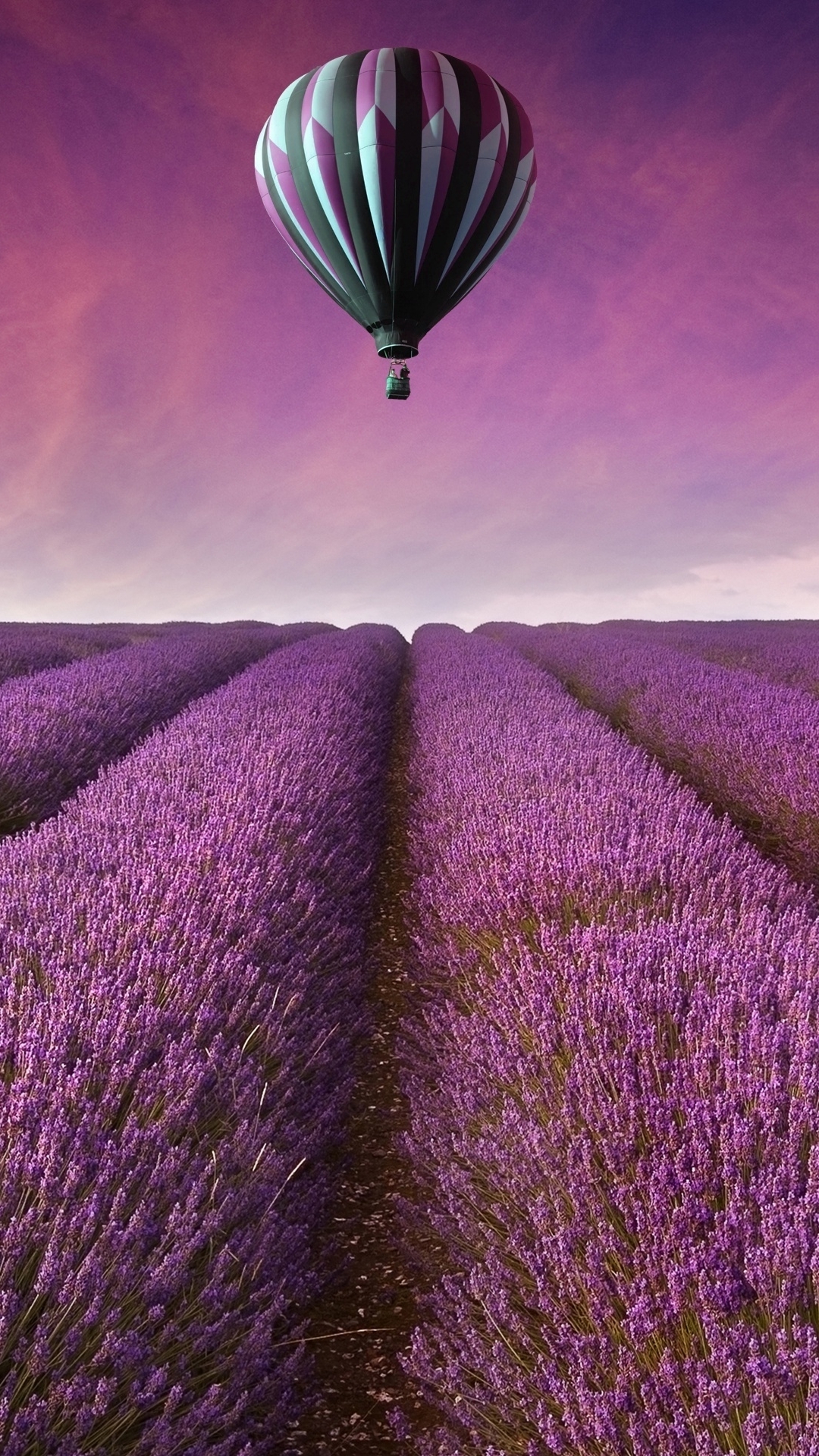 Download mobile wallpaper Flowers, Earth, Lavender for free.