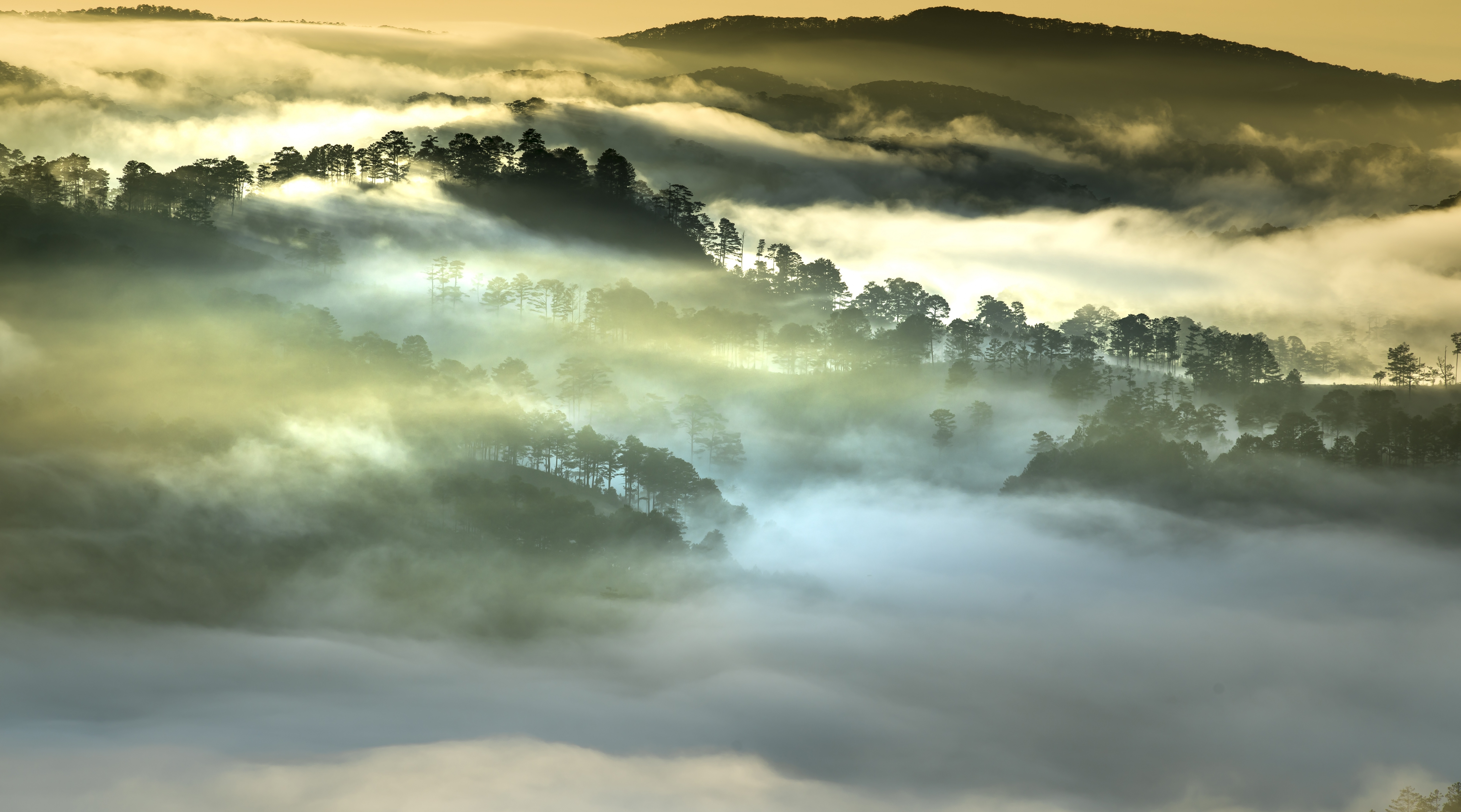 Скачать картинку Лес, Туман, Вьетнам, Земля/природа в телефон бесплатно.