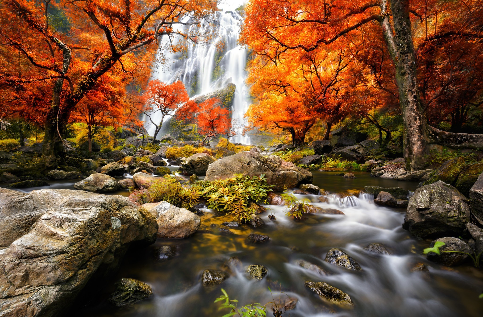 Download mobile wallpaper Stream, Waterfall, Waterfalls, Fall, Tree, Earth for free.