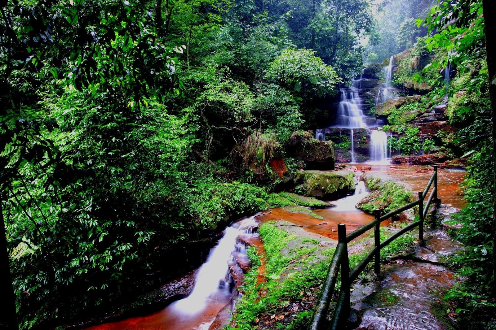 Laden Sie das Natur, Wasser, Wasserfälle, Wasserfall, Wald, Vegetation, Moos, Erde/natur-Bild kostenlos auf Ihren PC-Desktop herunter