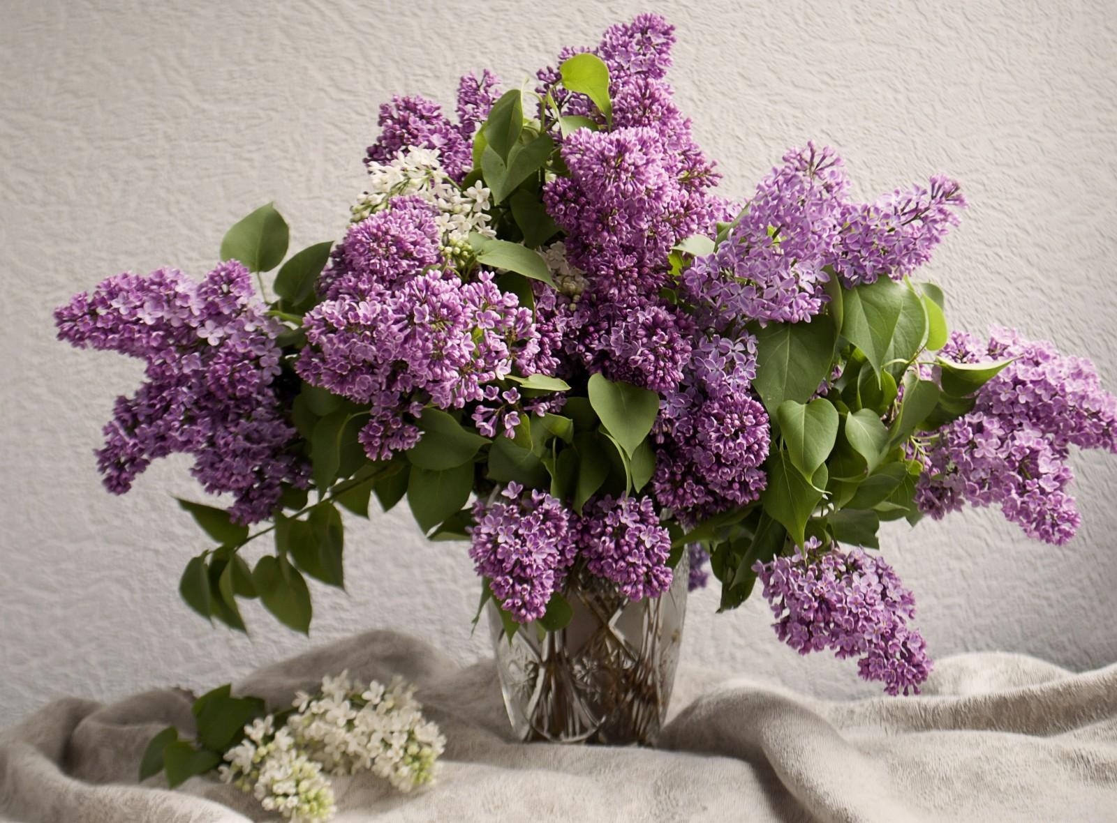 Free download wallpaper Flowers, Mood, Lilac, Bouquet, Vase, Spring on your PC desktop