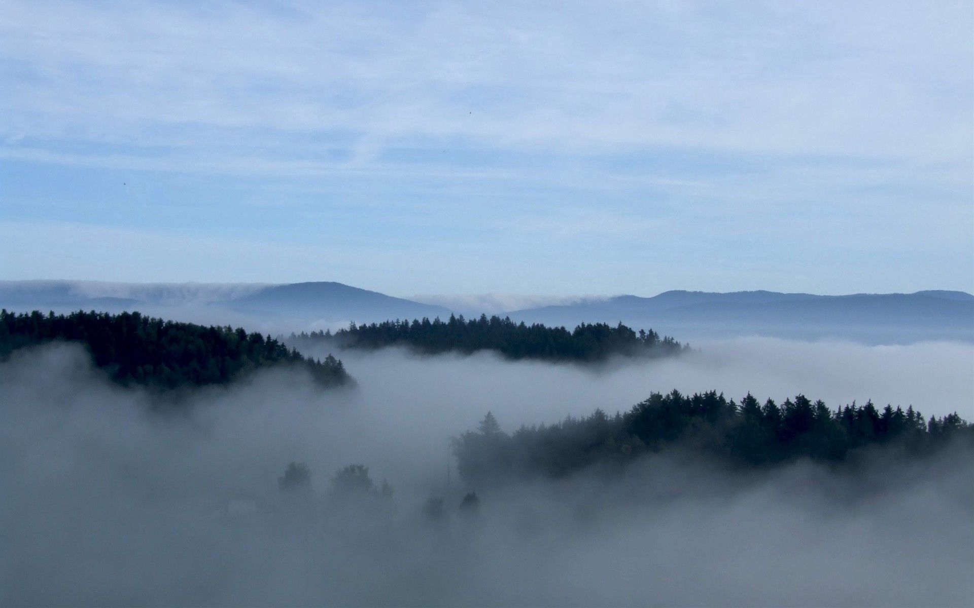 Laden Sie das Bäume, Sky, Nebel, Natur-Bild kostenlos auf Ihren PC-Desktop herunter