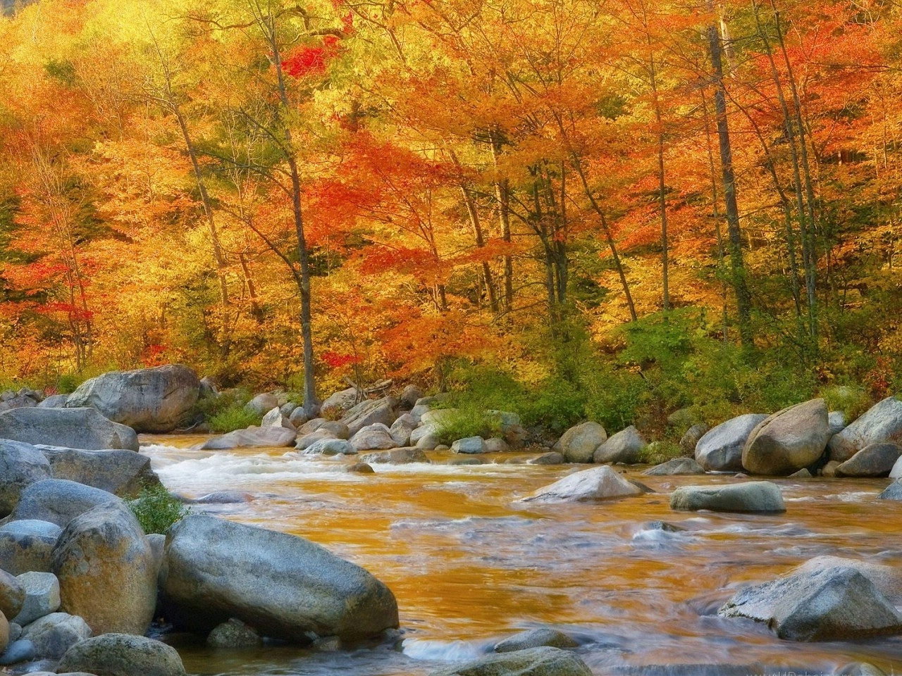 Скачать картинку Река, Деревья, Пейзаж, Осень в телефон бесплатно.