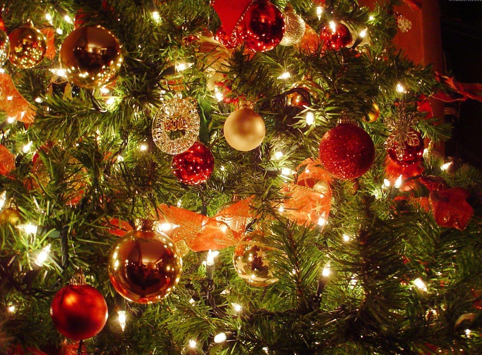 129100 Bild herunterladen feiertage, neujahr, neues jahr, urlaub, weihnachtsschmuck, weihnachtsbaum spielzeug, weihnachtsbaum, garland, girlanden - Hintergrundbilder und Bildschirmschoner kostenlos