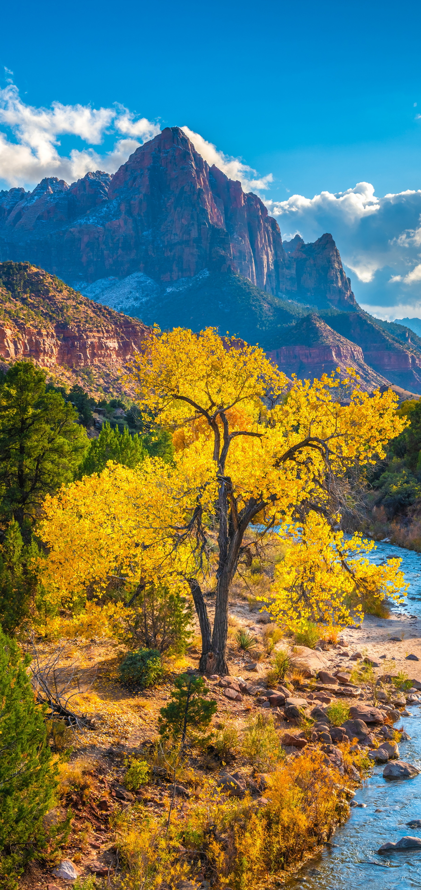 nature, earth, zion national park, river, national park