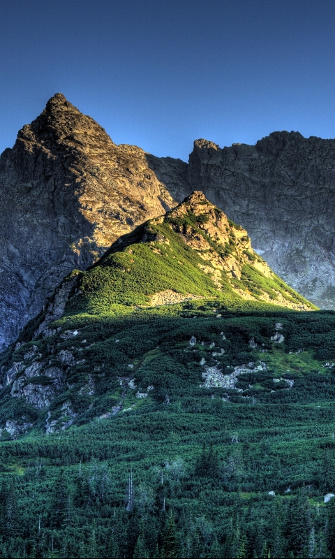 Téléchargez des papiers peints mobile Montagnes, Pologne, Montagne, Forêt, Tatras, Terre/nature gratuitement.