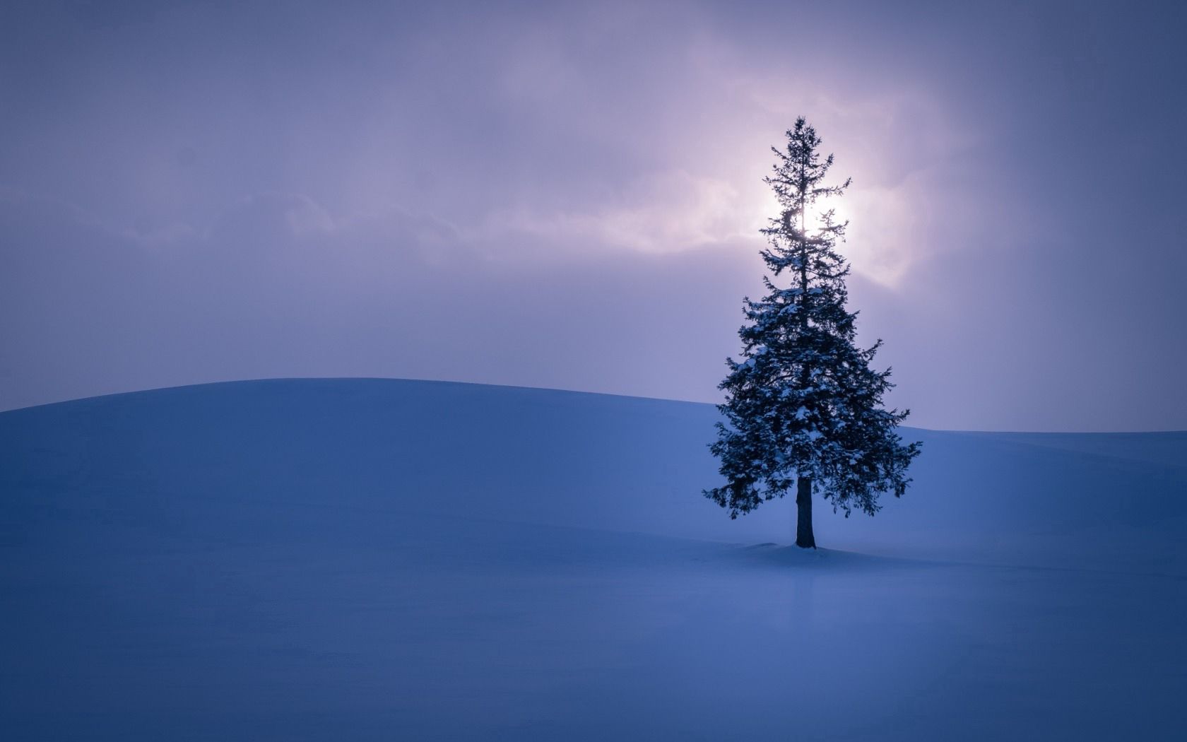 Wallpaper Full HD horizon, nature, sky, snow, spruce, fir