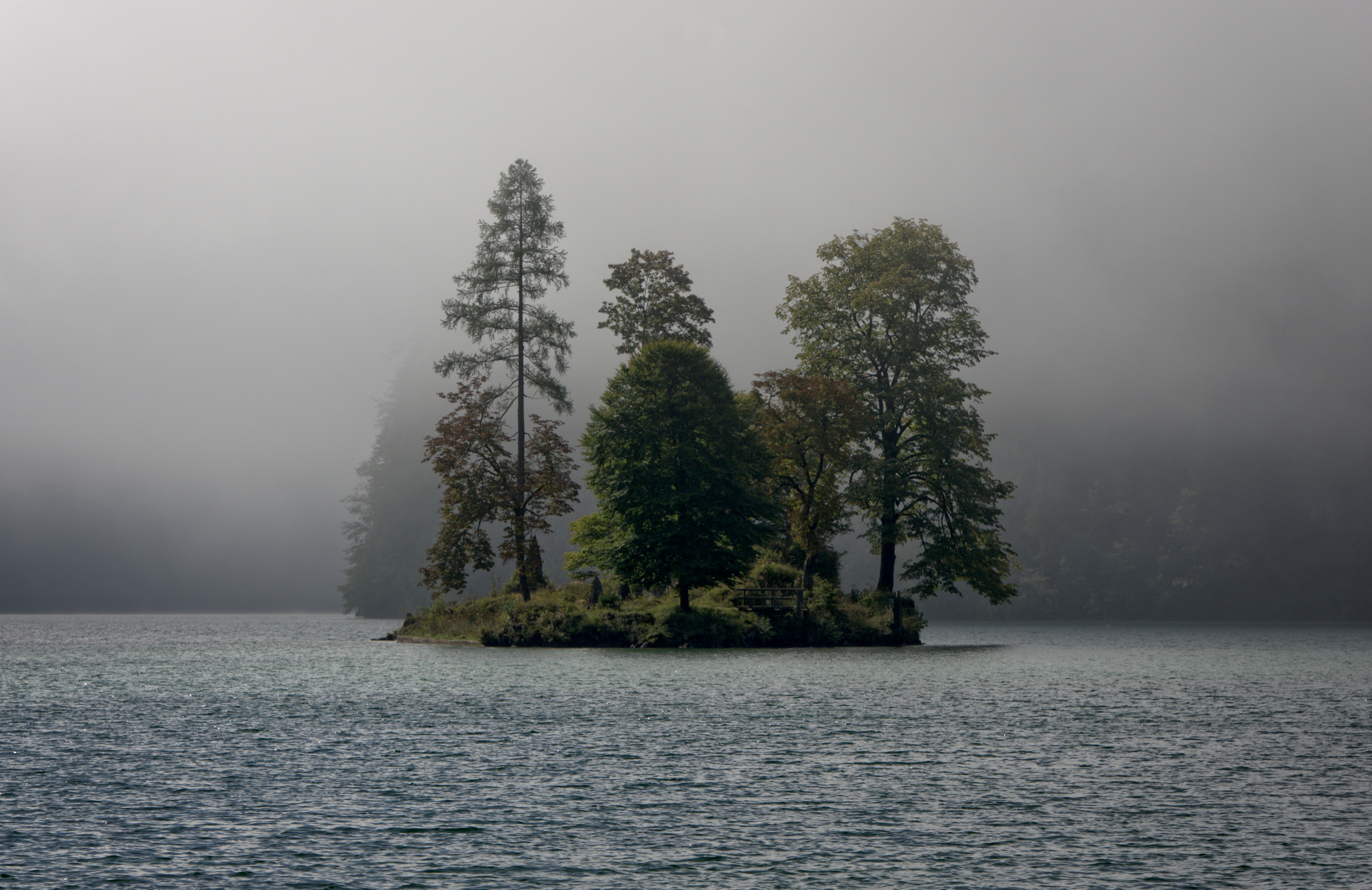 PCデスクトップに風景, 自然, 川, 木, 霧, 島画像を無料でダウンロード