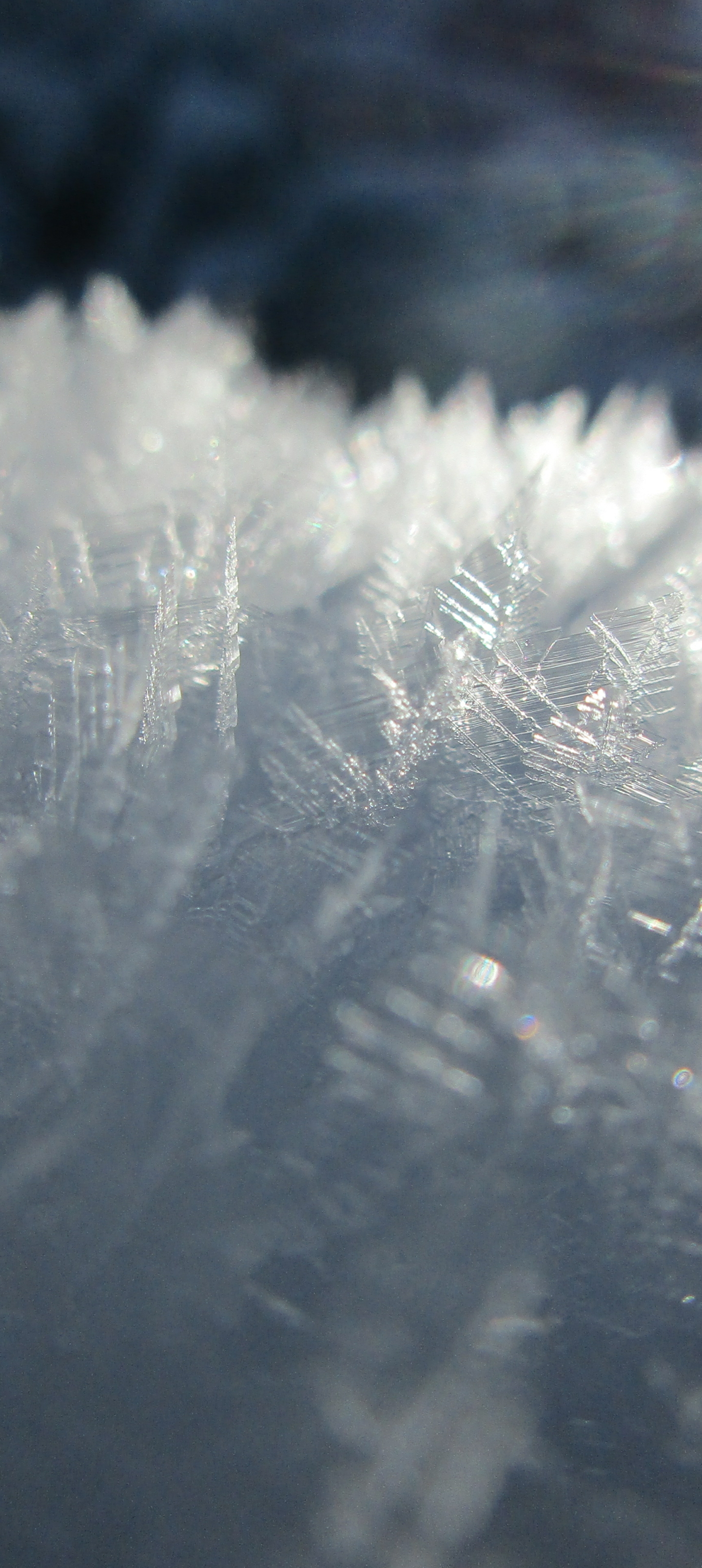 Baixar papel de parede para celular de Fechar Se, Floco De Neve, Terra/natureza gratuito.