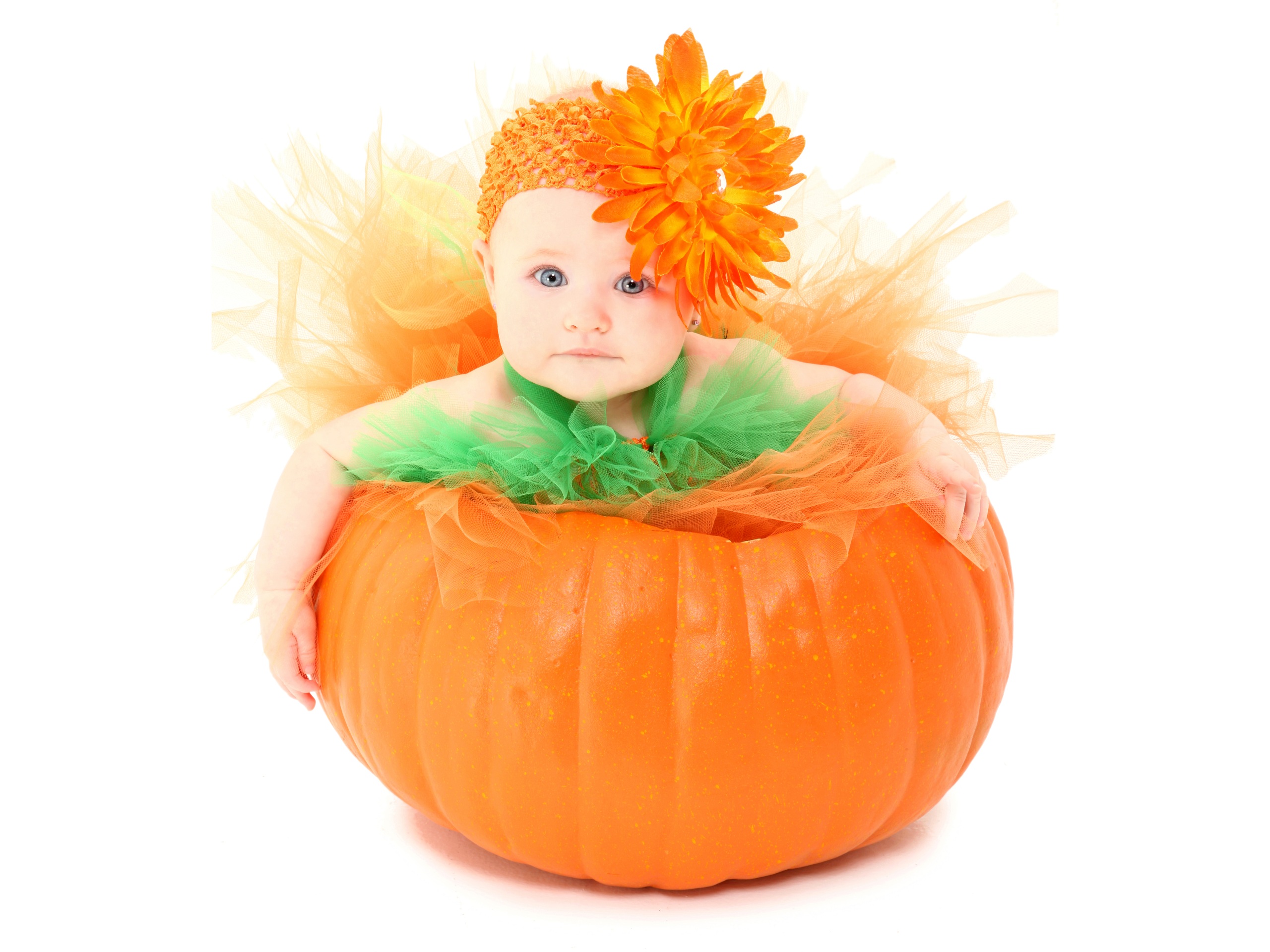 735728壁紙のダウンロード写真撮影, 赤ちゃん, 可愛い, オレンジフラワー, かぼちゃ-スクリーンセーバーと写真を無料で