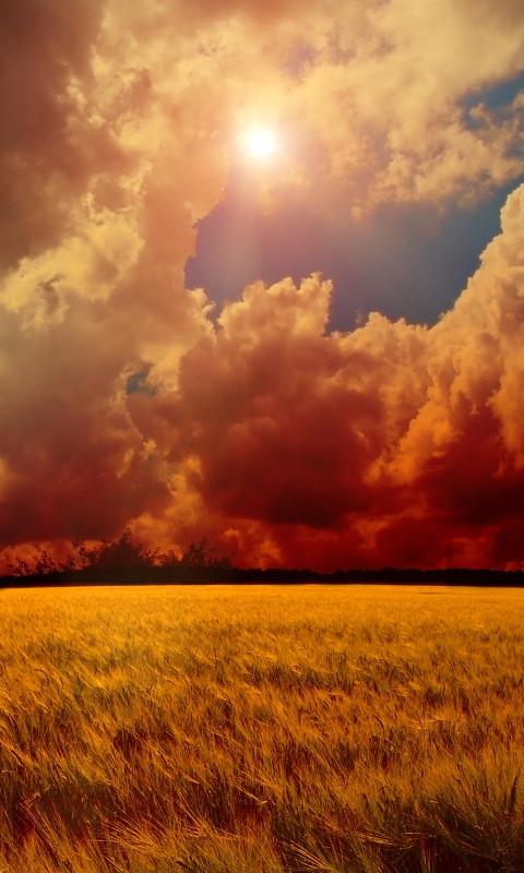 Download mobile wallpaper Landscape, Sky, Sun, Wheat, Earth, Field, Cloud, Manipulation for free.