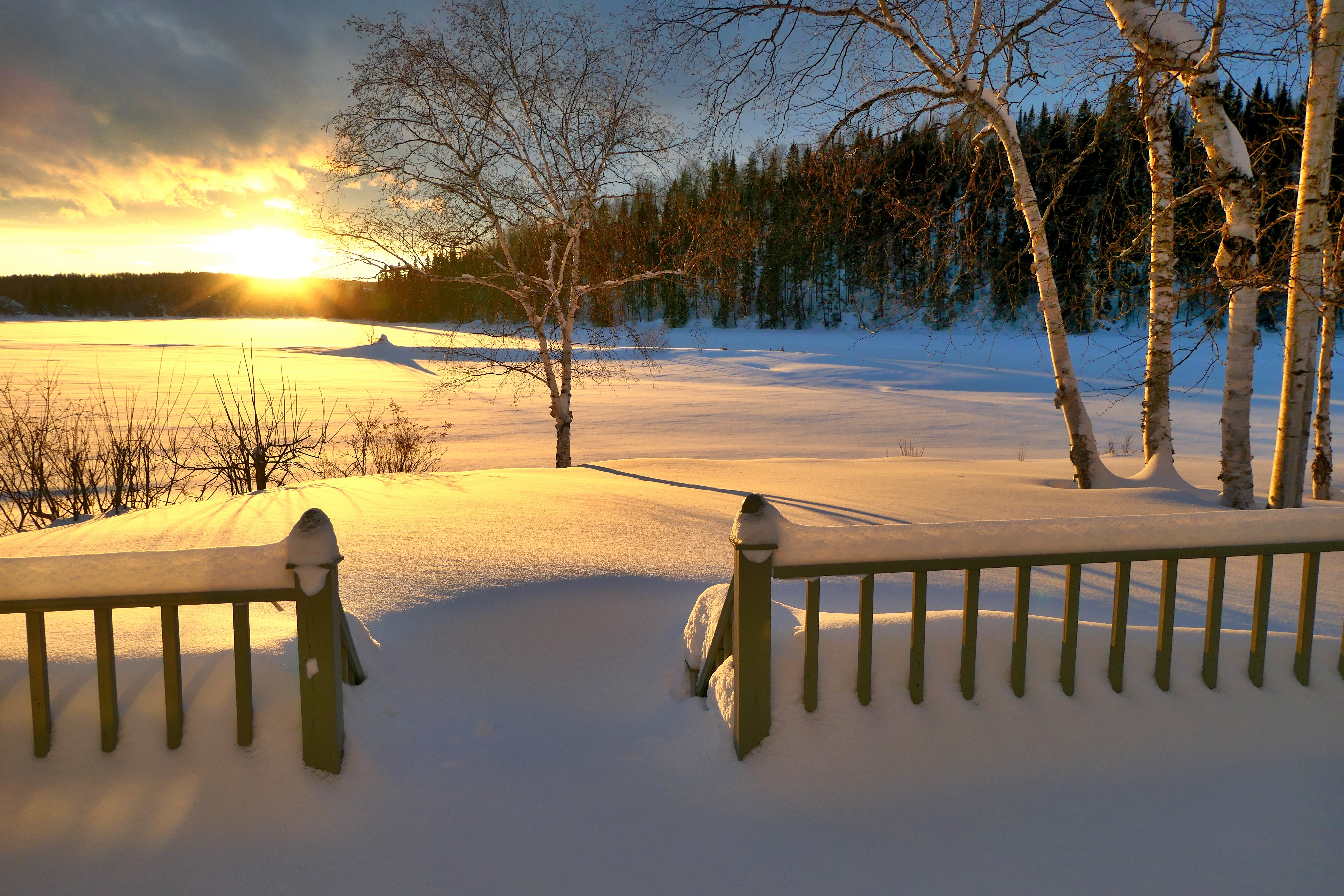 photography, winter, birch, fence, quebec, snow, sunset