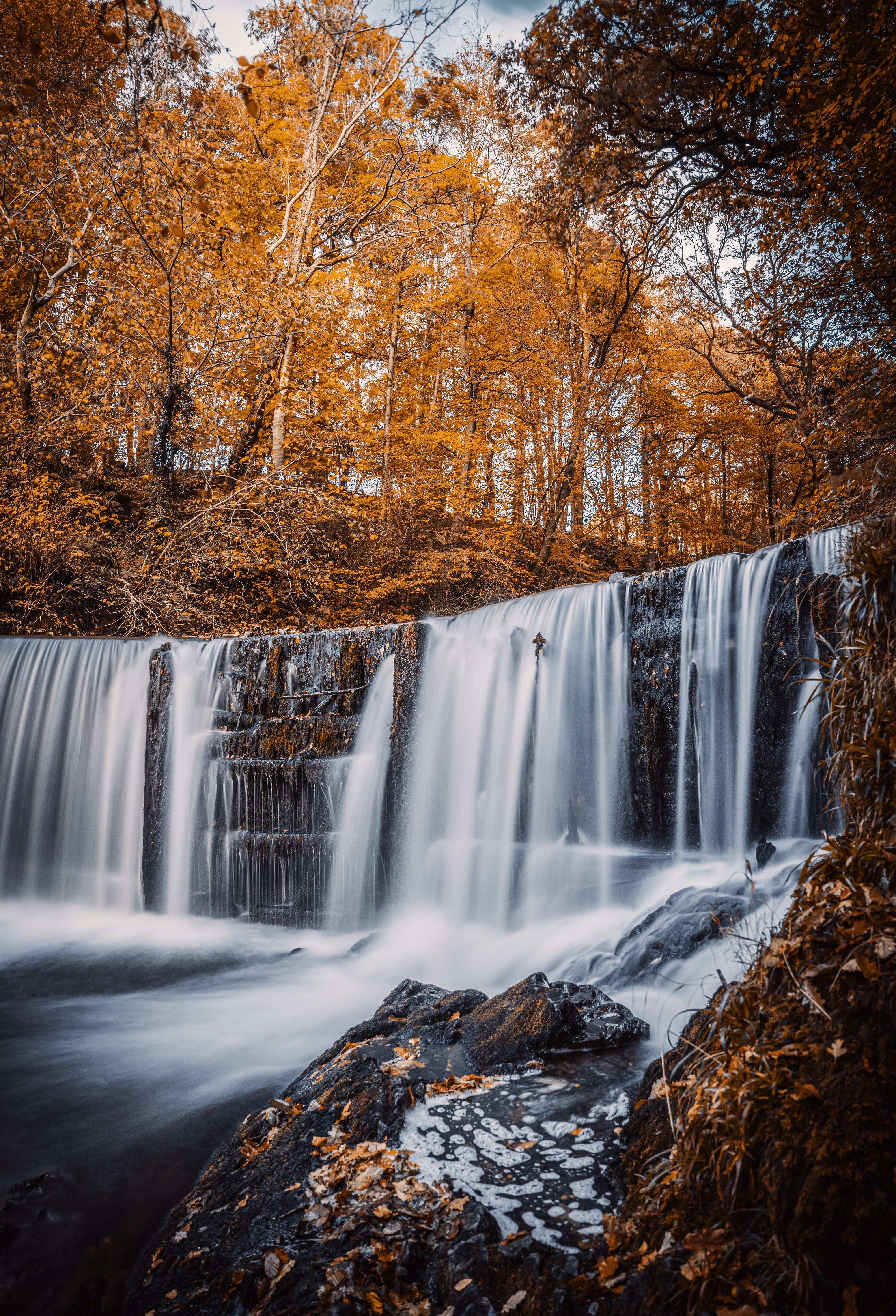 PCデスクトップに風景, 自然, 川, 木, 秋, 滝画像を無料でダウンロード