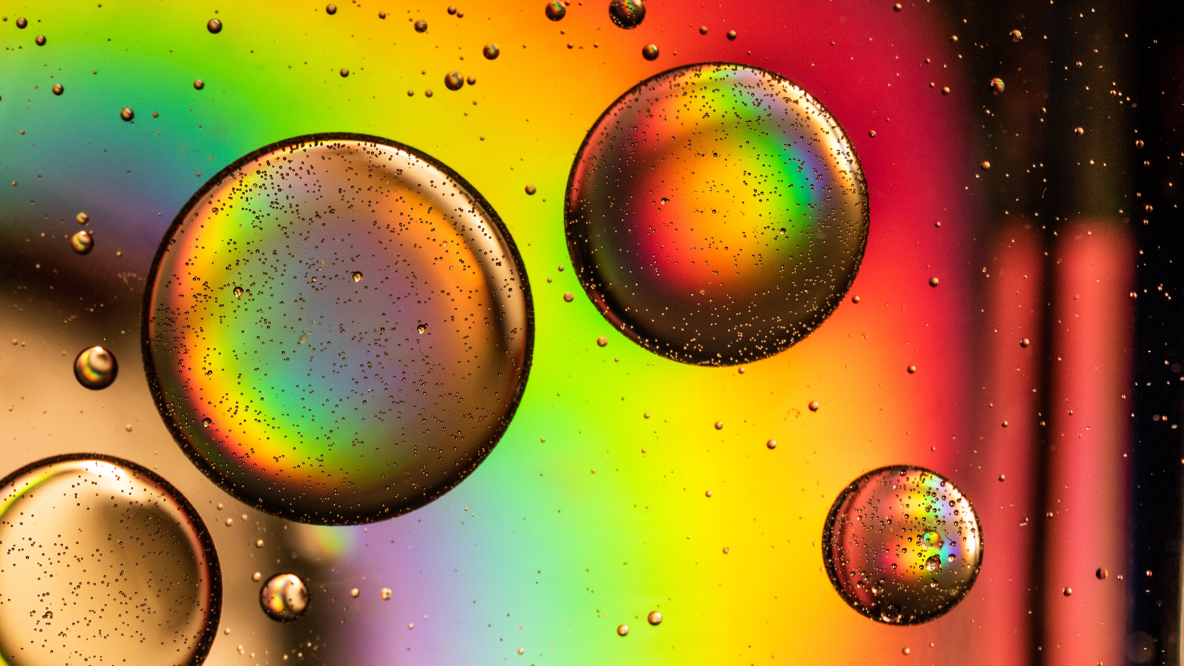 circles, rainbow, abstract, multicolored, motley, bubble HD wallpaper