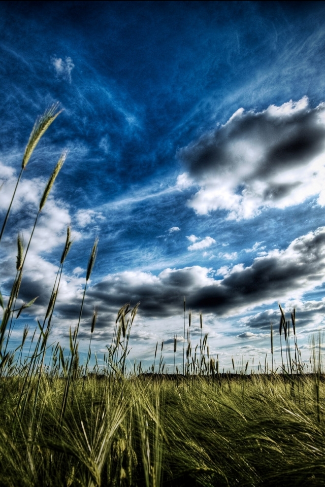 Handy-Wallpaper Landschaft, Erde/natur kostenlos herunterladen.