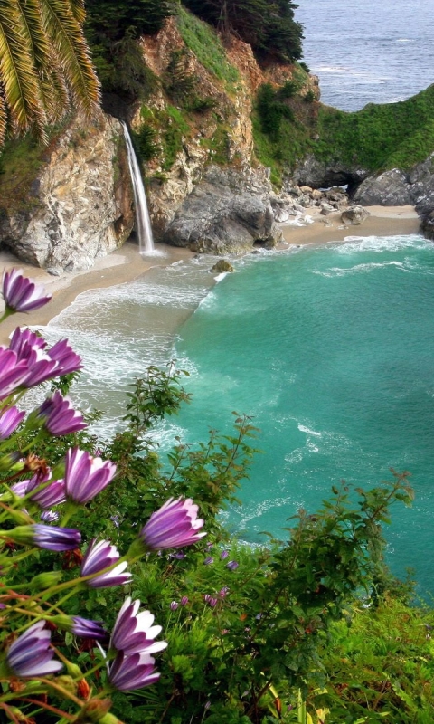 Descarga gratuita de fondo de pantalla para móvil de Playa, Tierra/naturaleza.