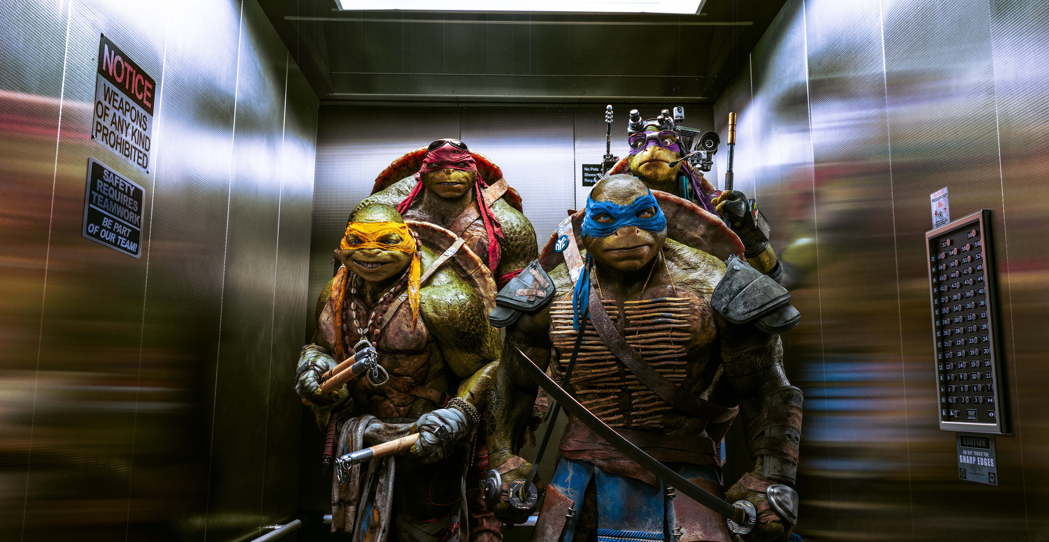 340191 descargar fondo de pantalla las tortugas ninja, películas, ninja turtles (2014): protectores de pantalla e imágenes gratis