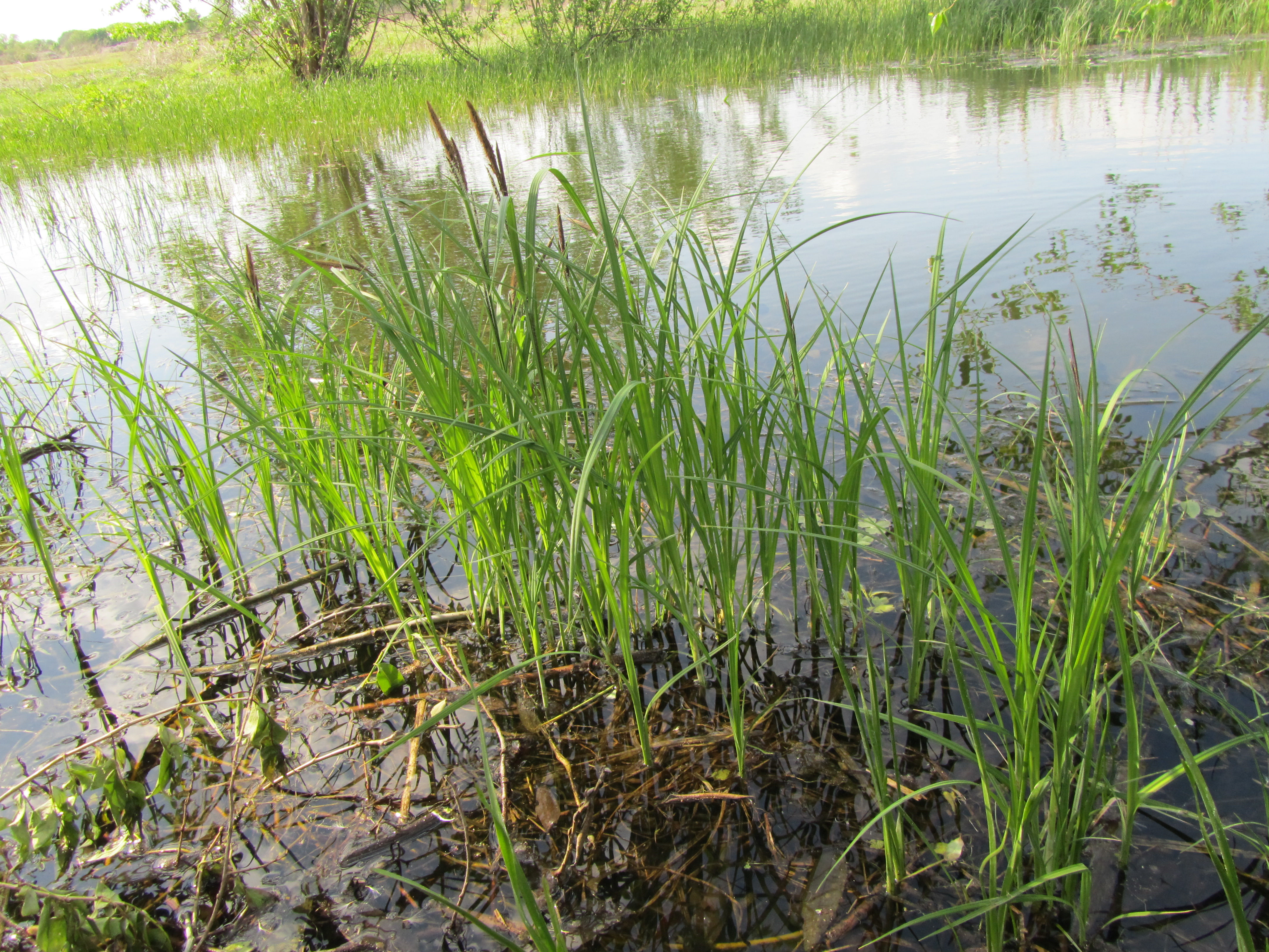 Descarga gratis la imagen Agua, Tierra/naturaleza en el escritorio de tu PC