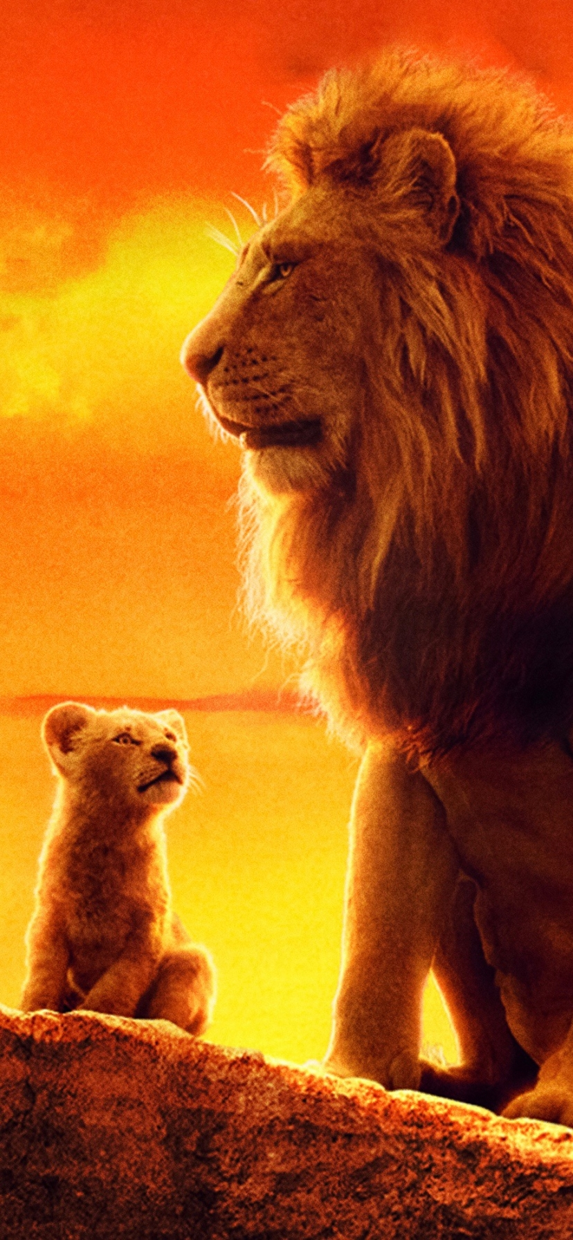 Handy-Wallpaper Filme, Mufasa (Der König Der Löwen), Simba, Der König Der Löwen (2019) kostenlos herunterladen.