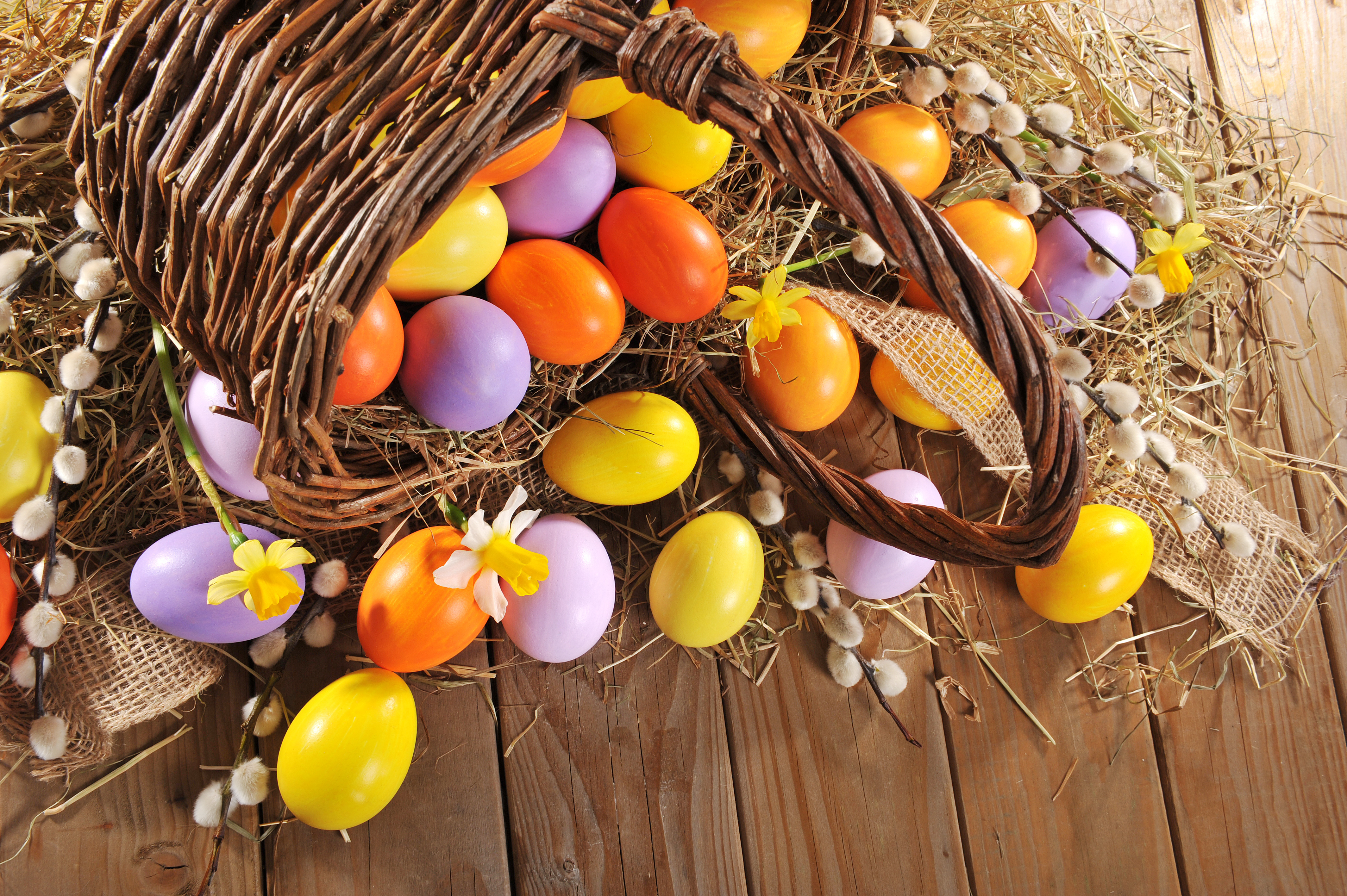 Завантажити шпалери безкоштовно Великдень, Свято, Весна, Нарцис, Пасхальне Яйце картинка на робочий стіл ПК
