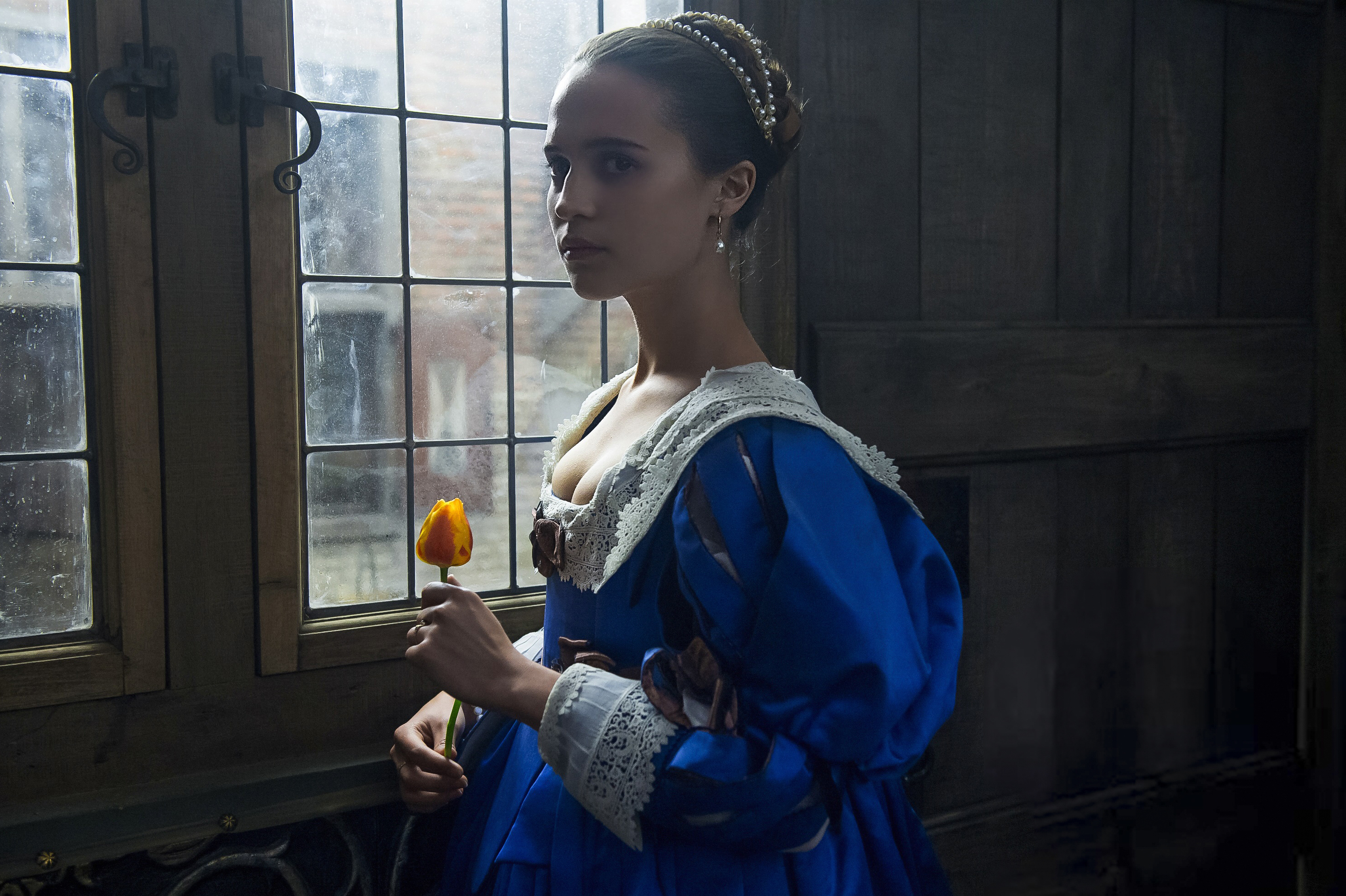 HD Tulip Fever Android Images