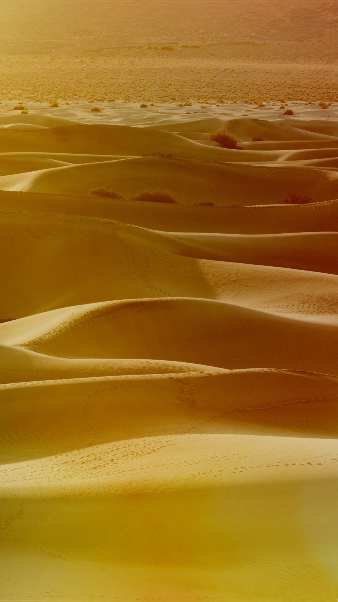 Download mobile wallpaper Desert, Earth, Adventure, Lost (Tv Show) for free.