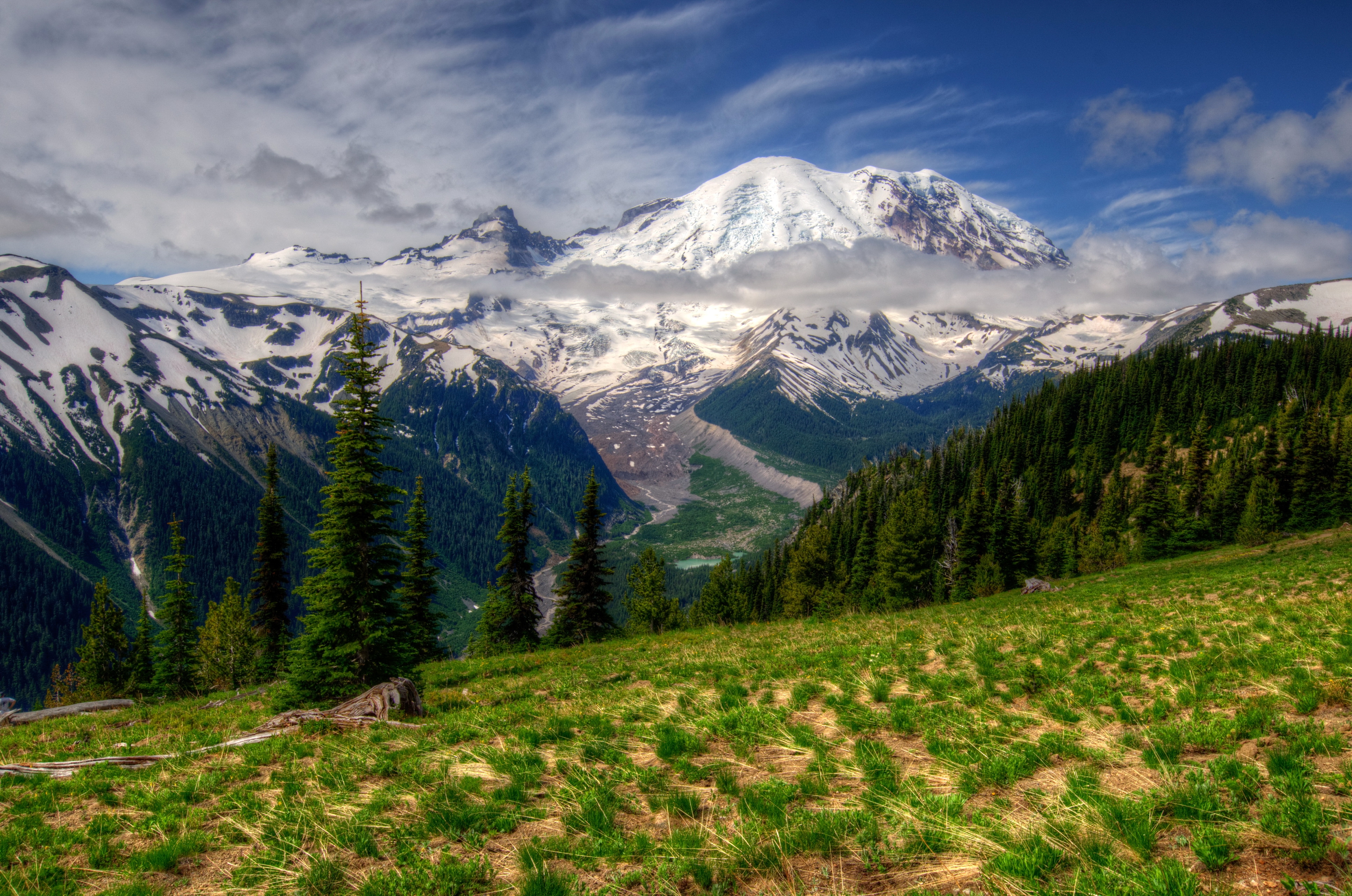 Скачать обои бесплатно Mt Rainier, Вашингтон, Hdr, Природа, Трава, Горы, Пейзаж картинка на рабочий стол ПК