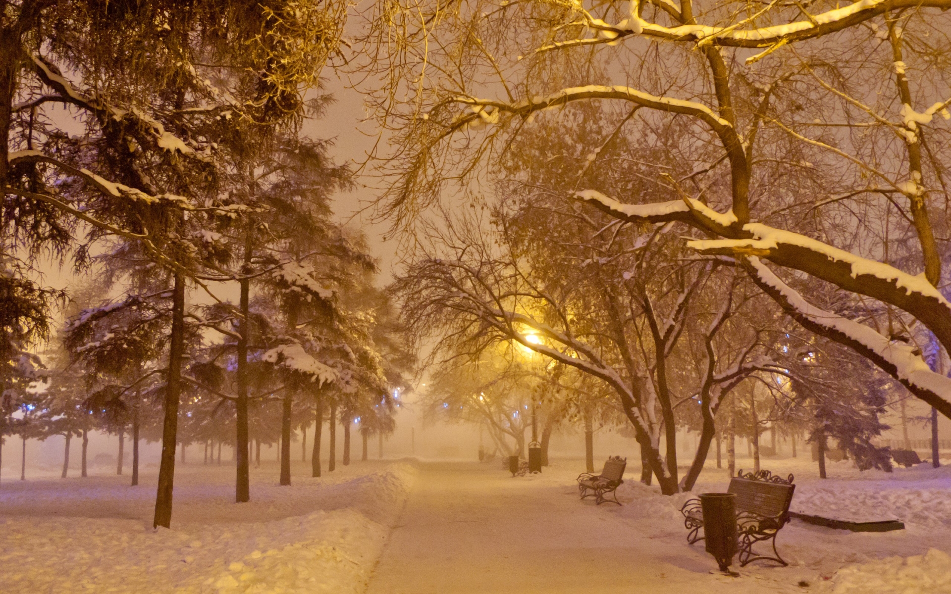 Laden Sie das Winter, Fotografie-Bild kostenlos auf Ihren PC-Desktop herunter