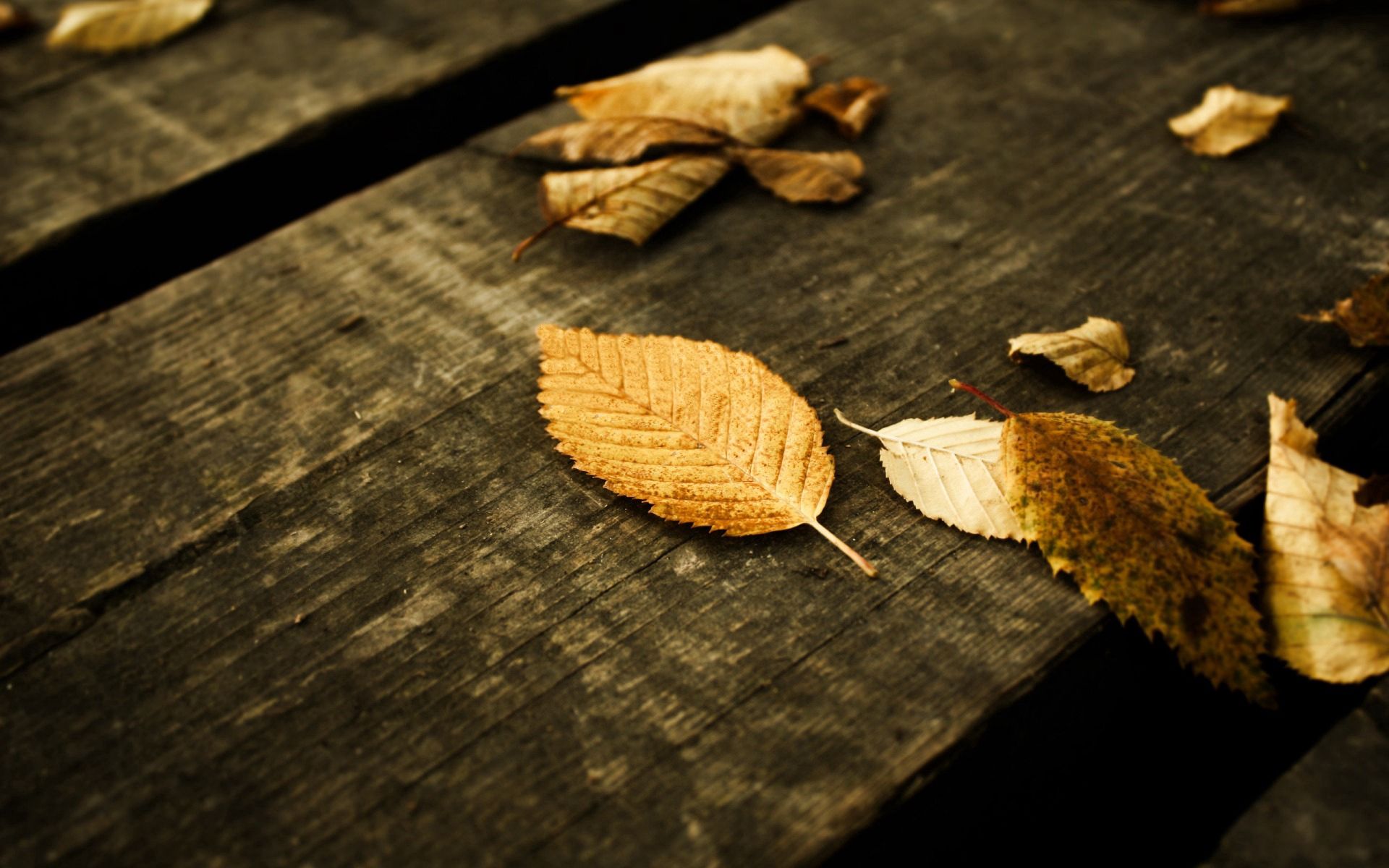 Скачать обои бесплатно Природа, Серый, Листья, Доски, Осень картинка на рабочий стол ПК